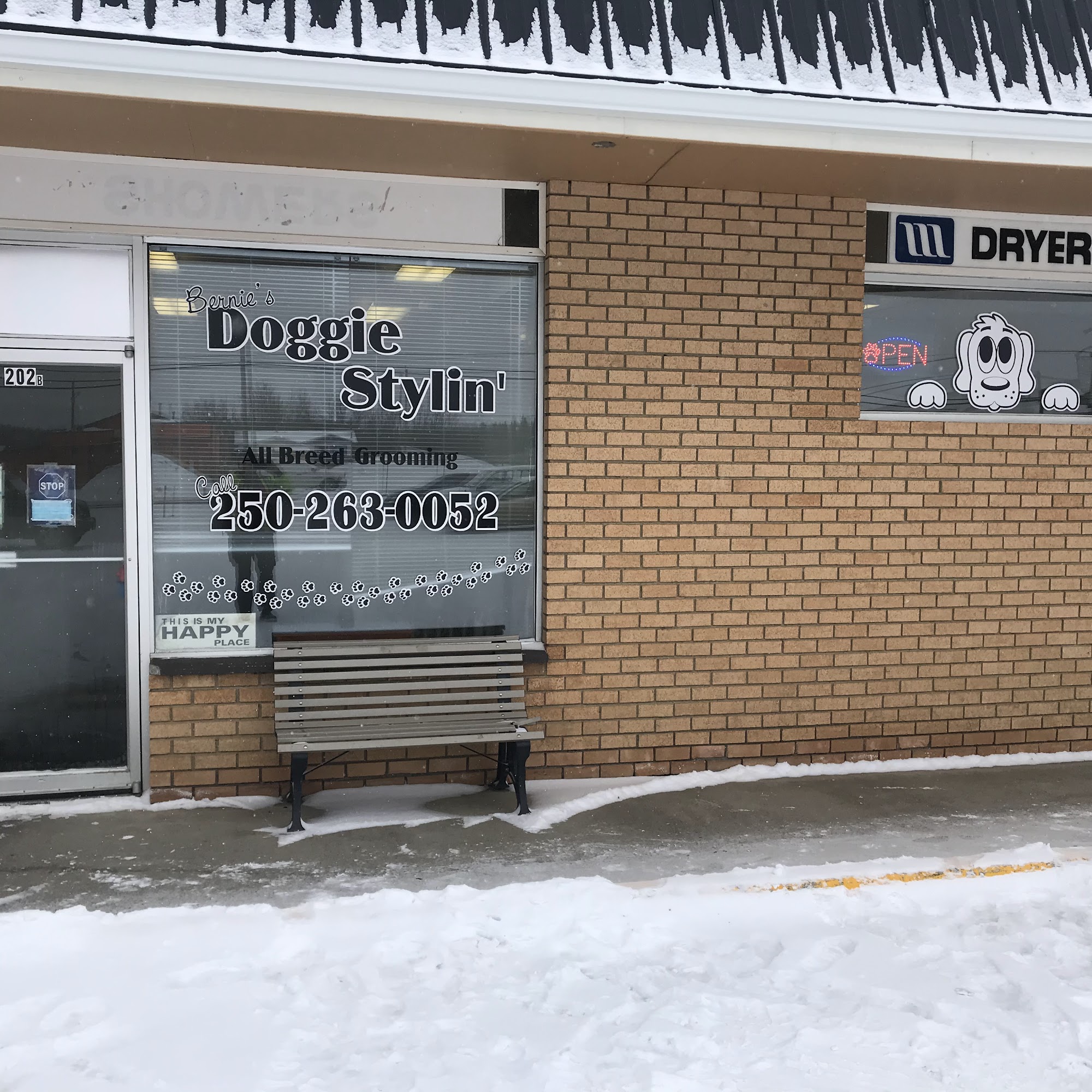 Bernie's Doggie Stylin