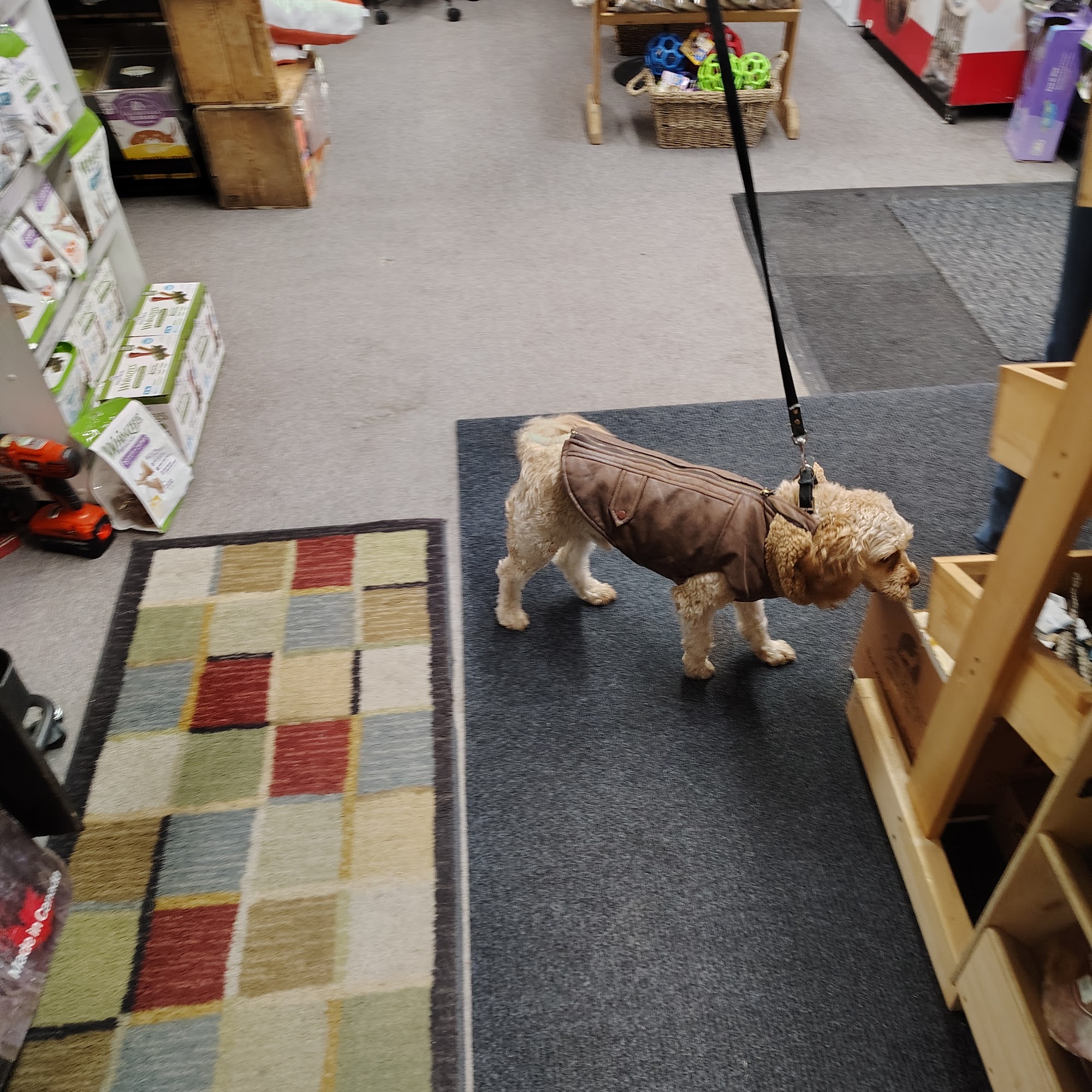 Chopper's Pet Supplies Invermere