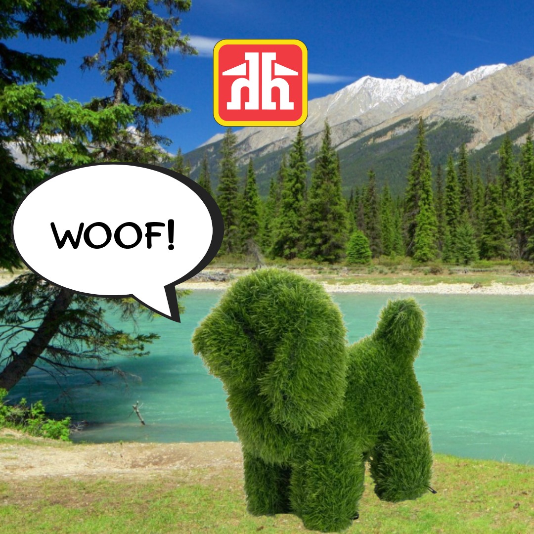 The Home Renovation Centre