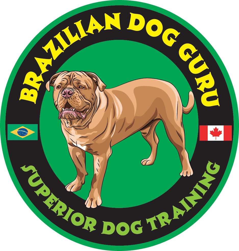 Brazilian Dog Guru Facility Kamloops