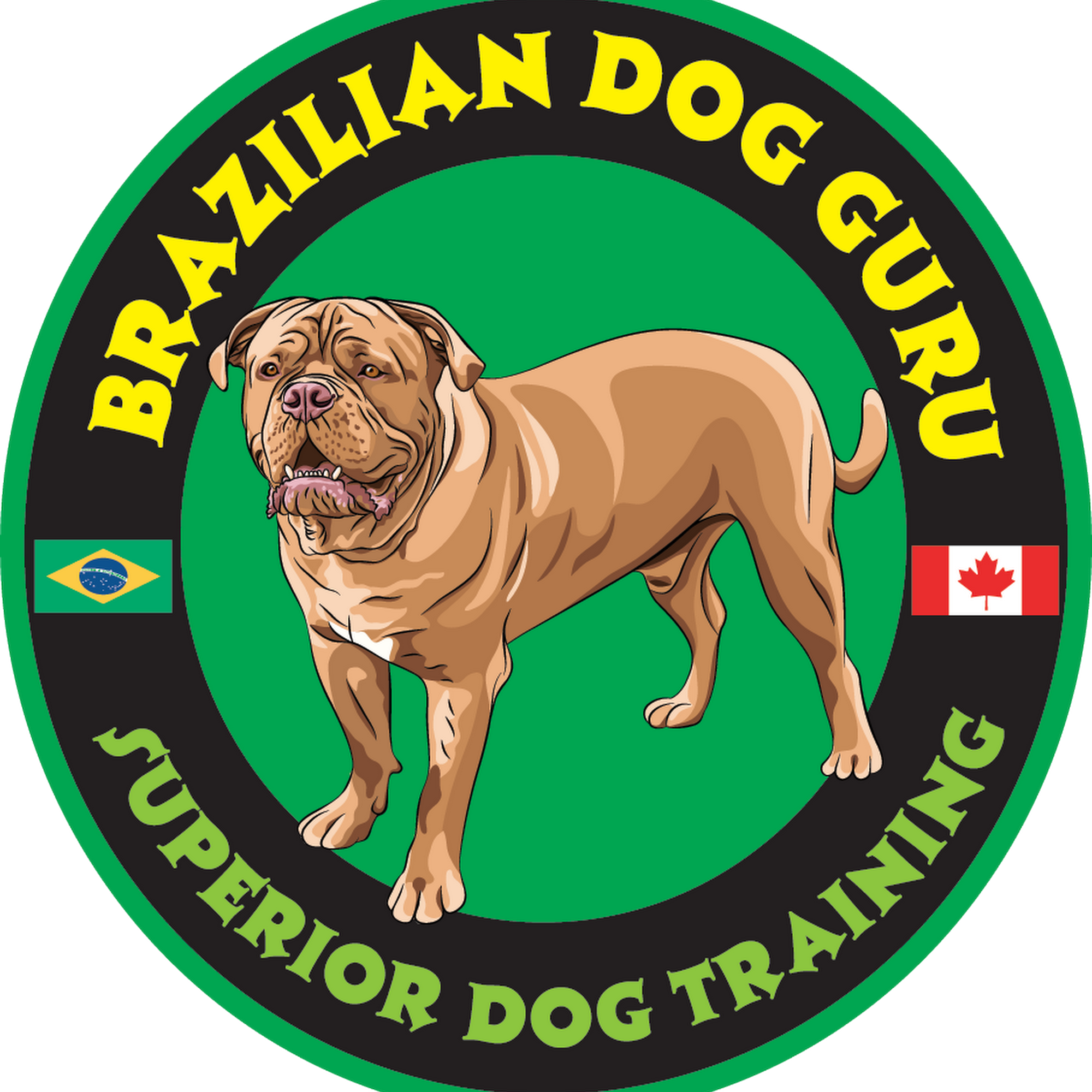 Brazilian Dog Guru Facility Kamloops