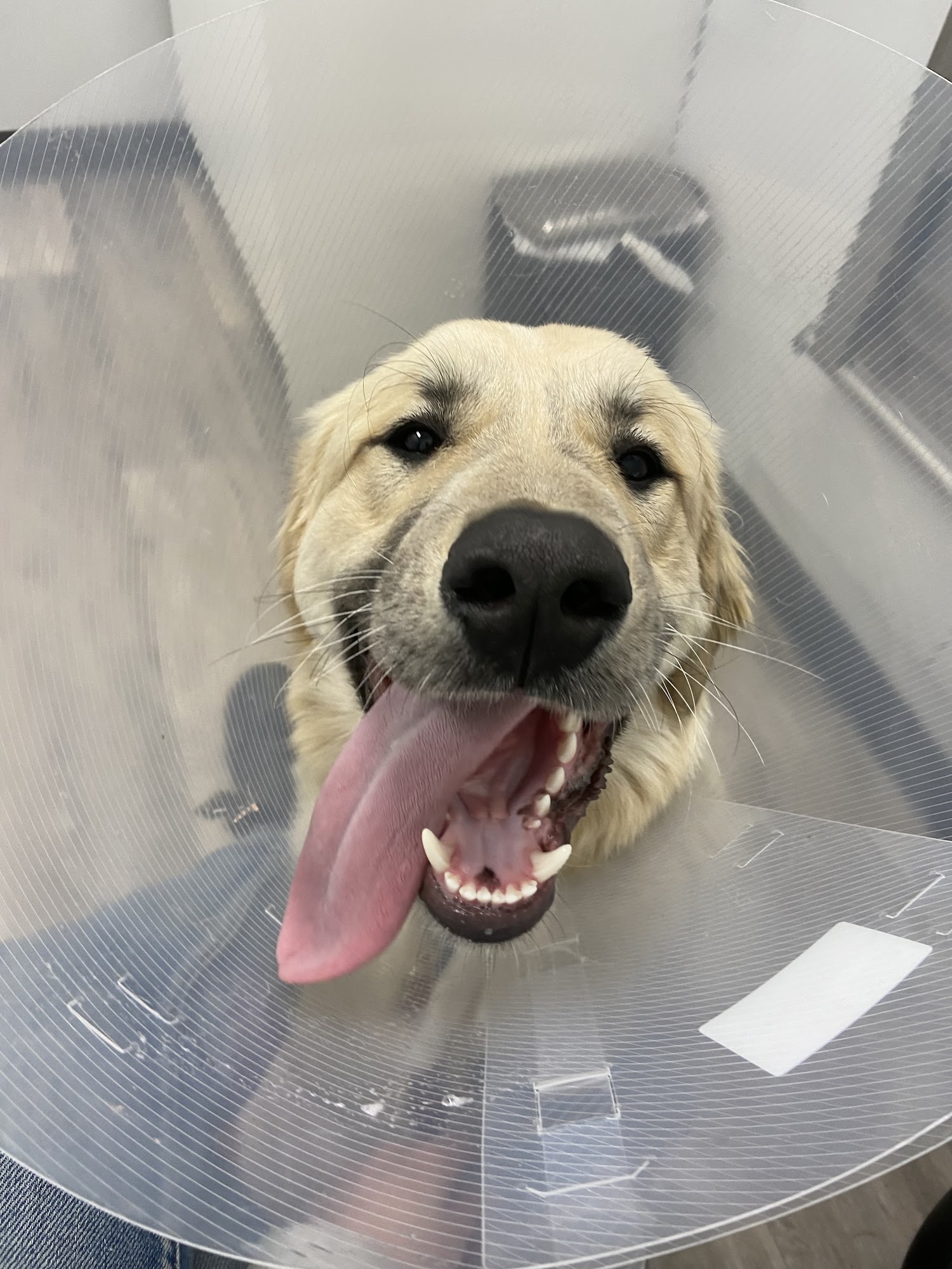 Twin Rivers Animal Hospital Kamloops