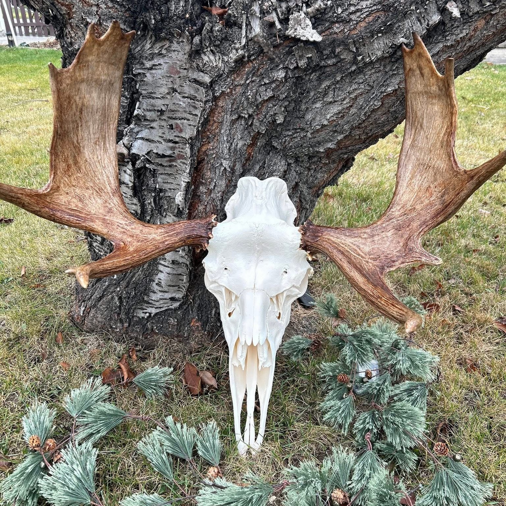 Sally Beauty Kamloops