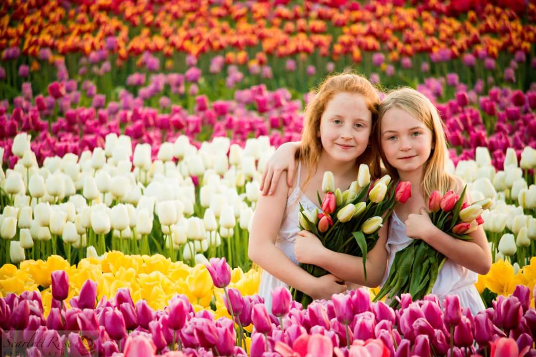 Scarlett Rose Photography