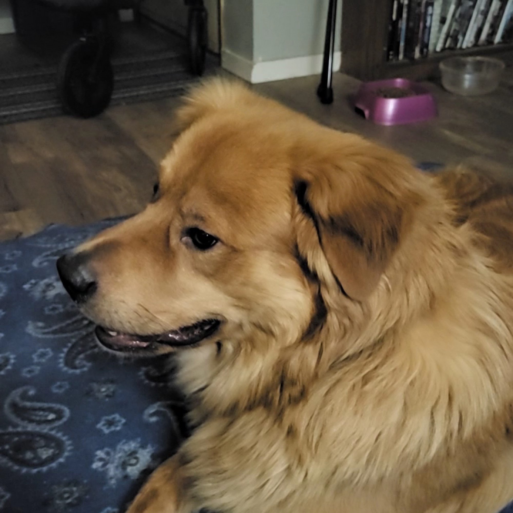 Valleyview Veterinary Clinic Kamloops