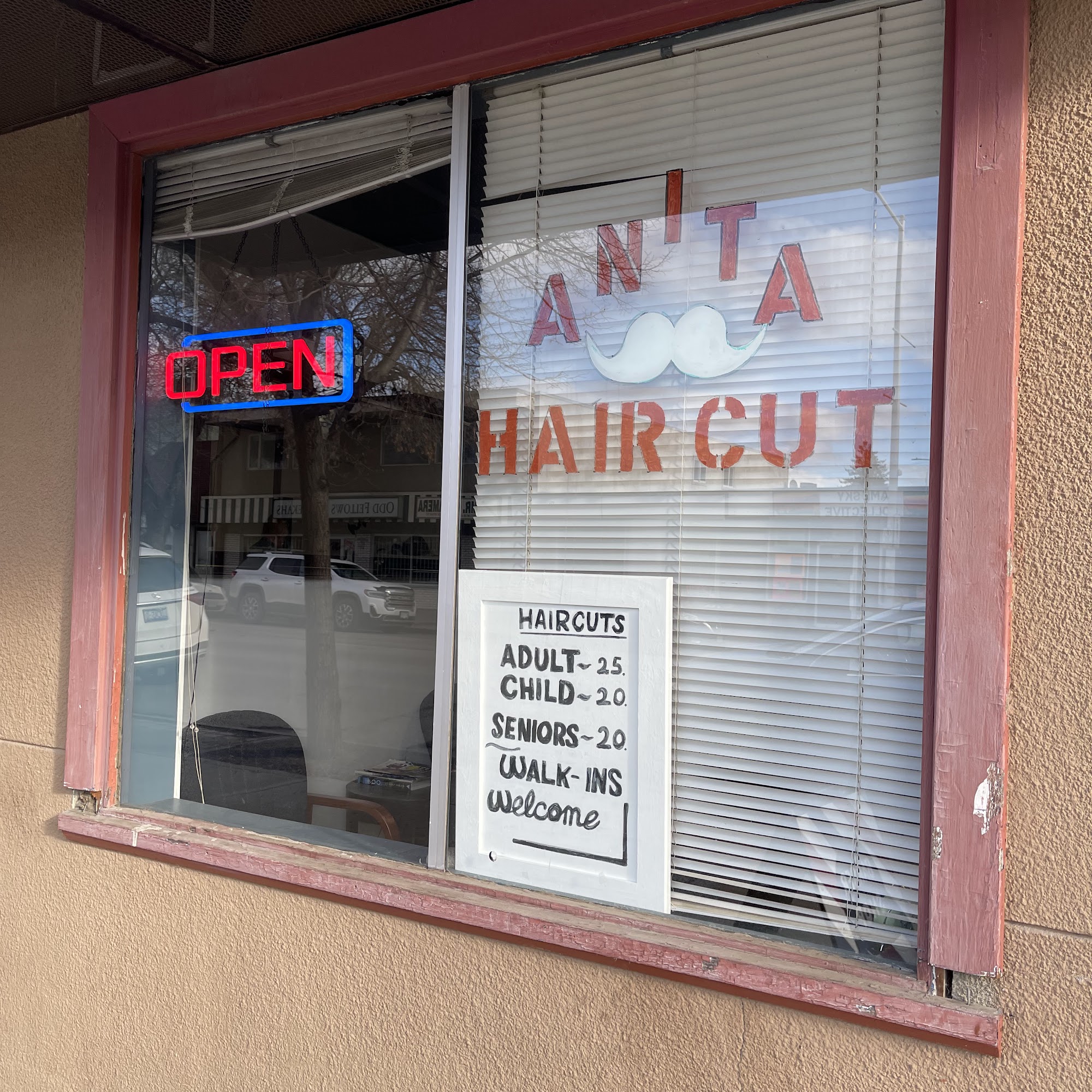 A'nita Haircut