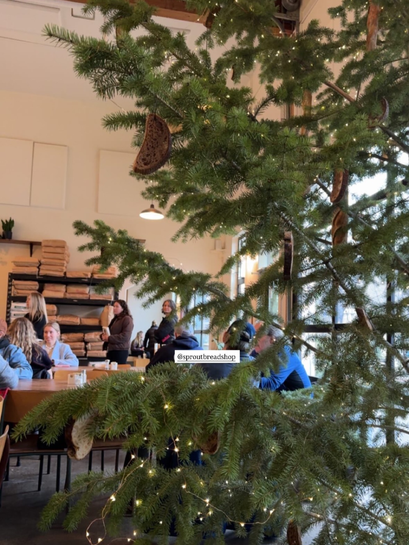 Sprout Bread Kelowna