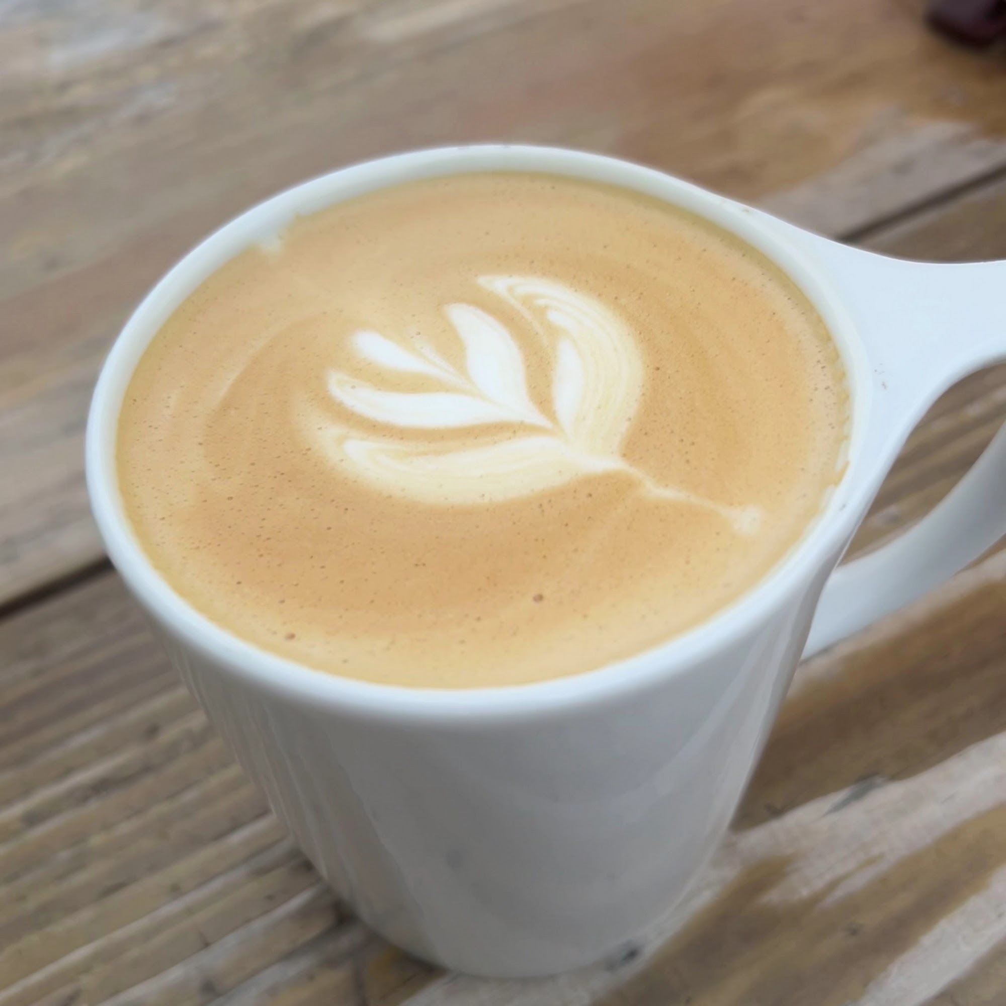 Bright Jenny Coffee Kelowna