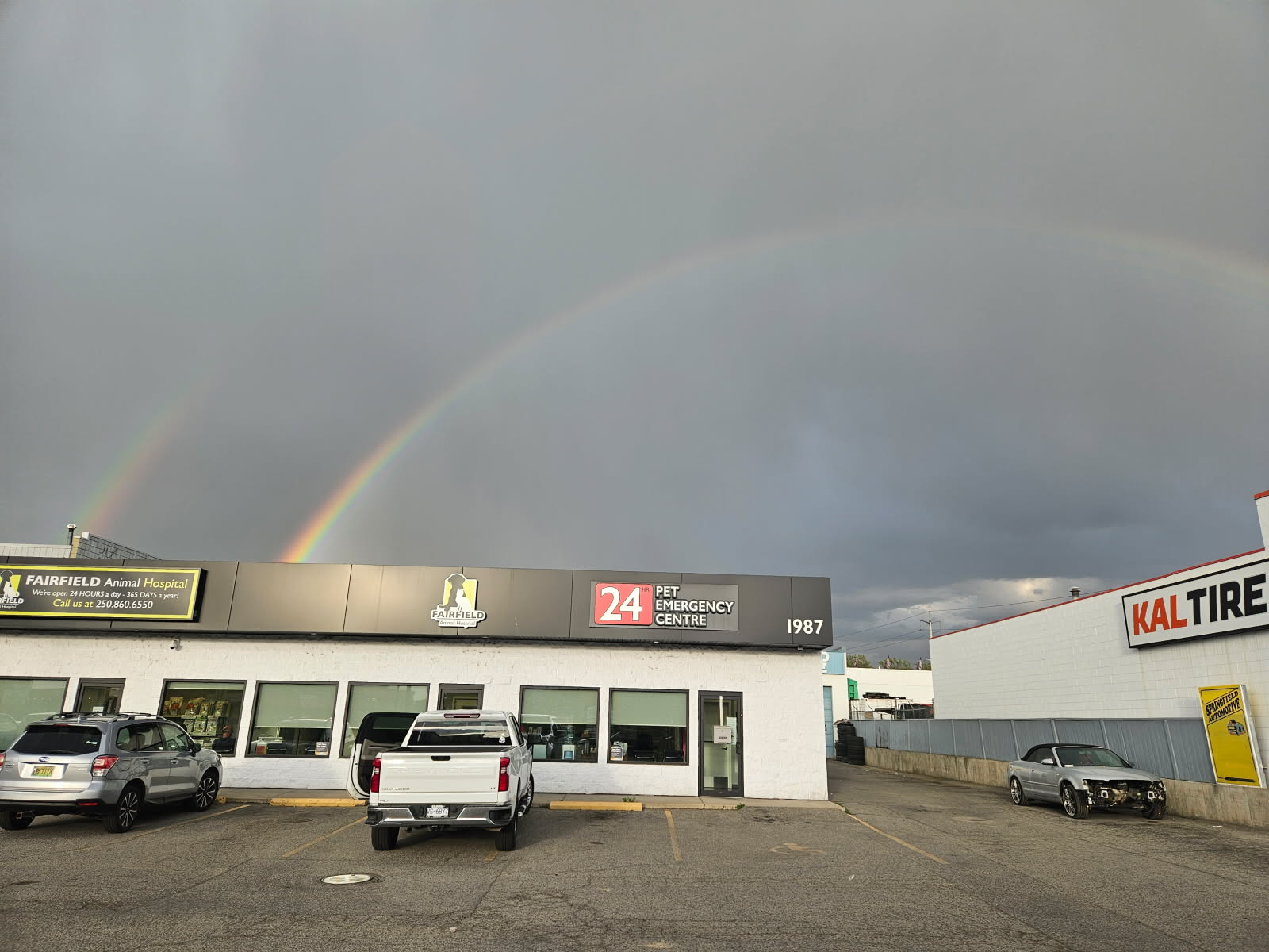 Fairfield Animal Hospital Kelowna