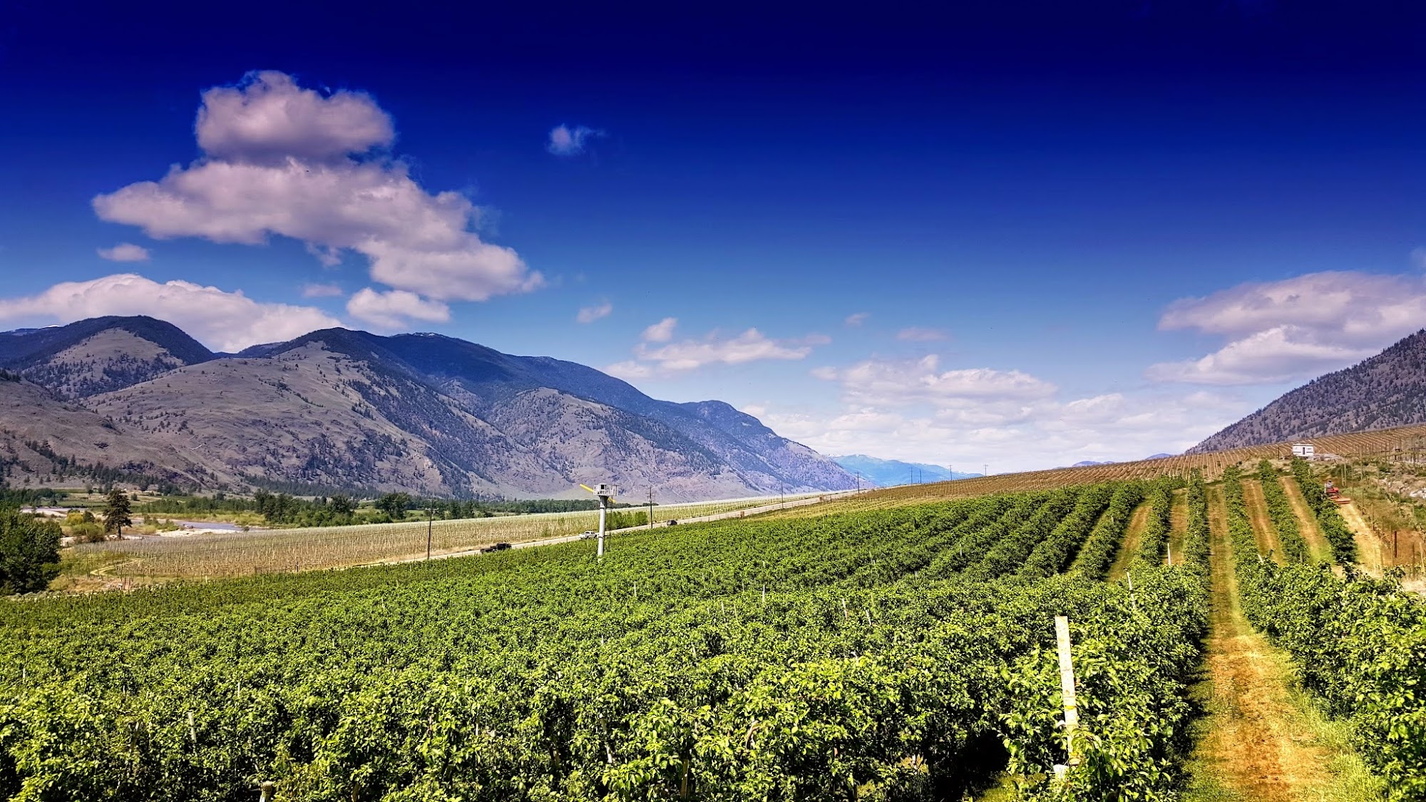 Hugging Tree Winery Menu