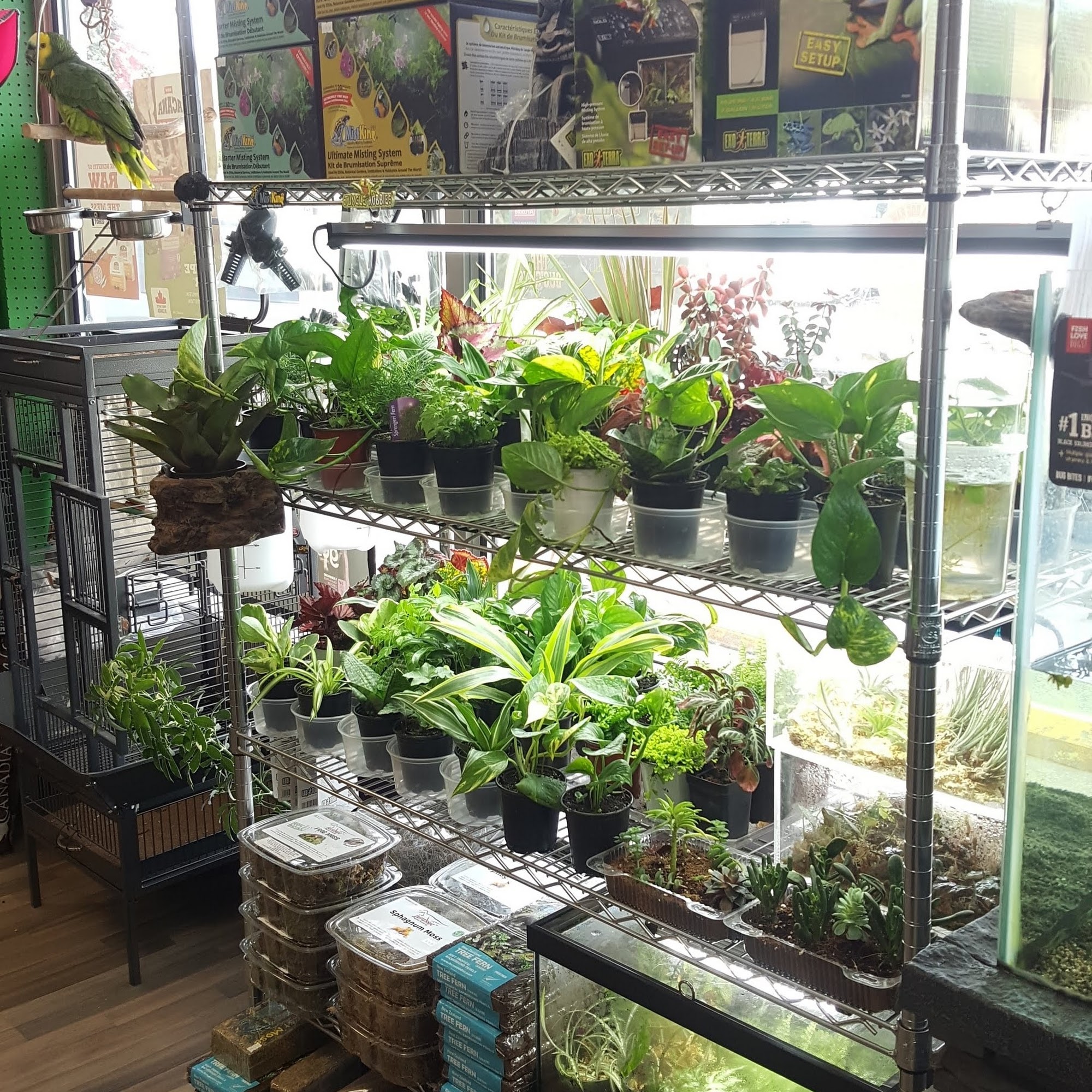 Lake Country Pet, The Bug Guys Pets and Exotics Lake Country