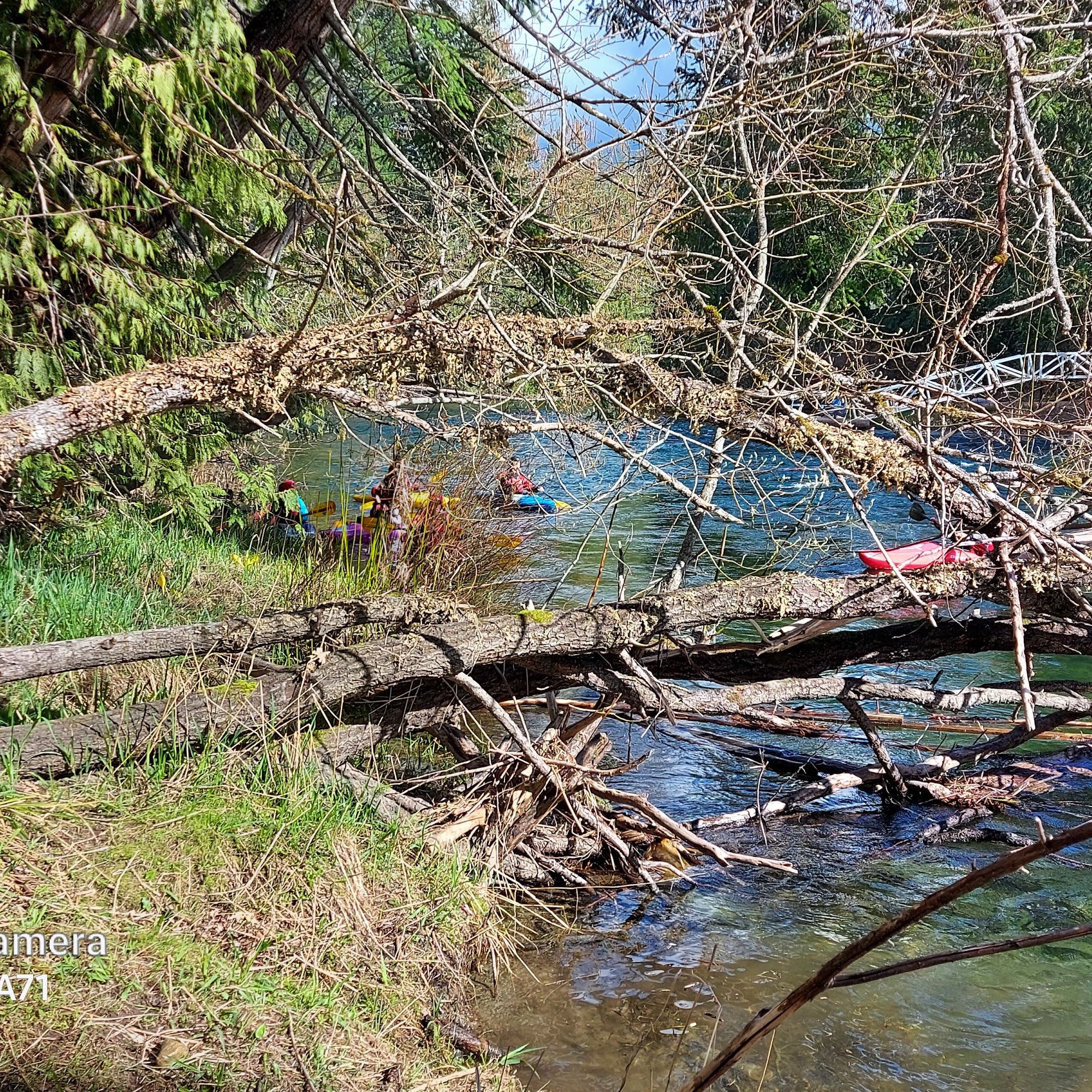 Cowichan Pet Emporium Lake Cowichan