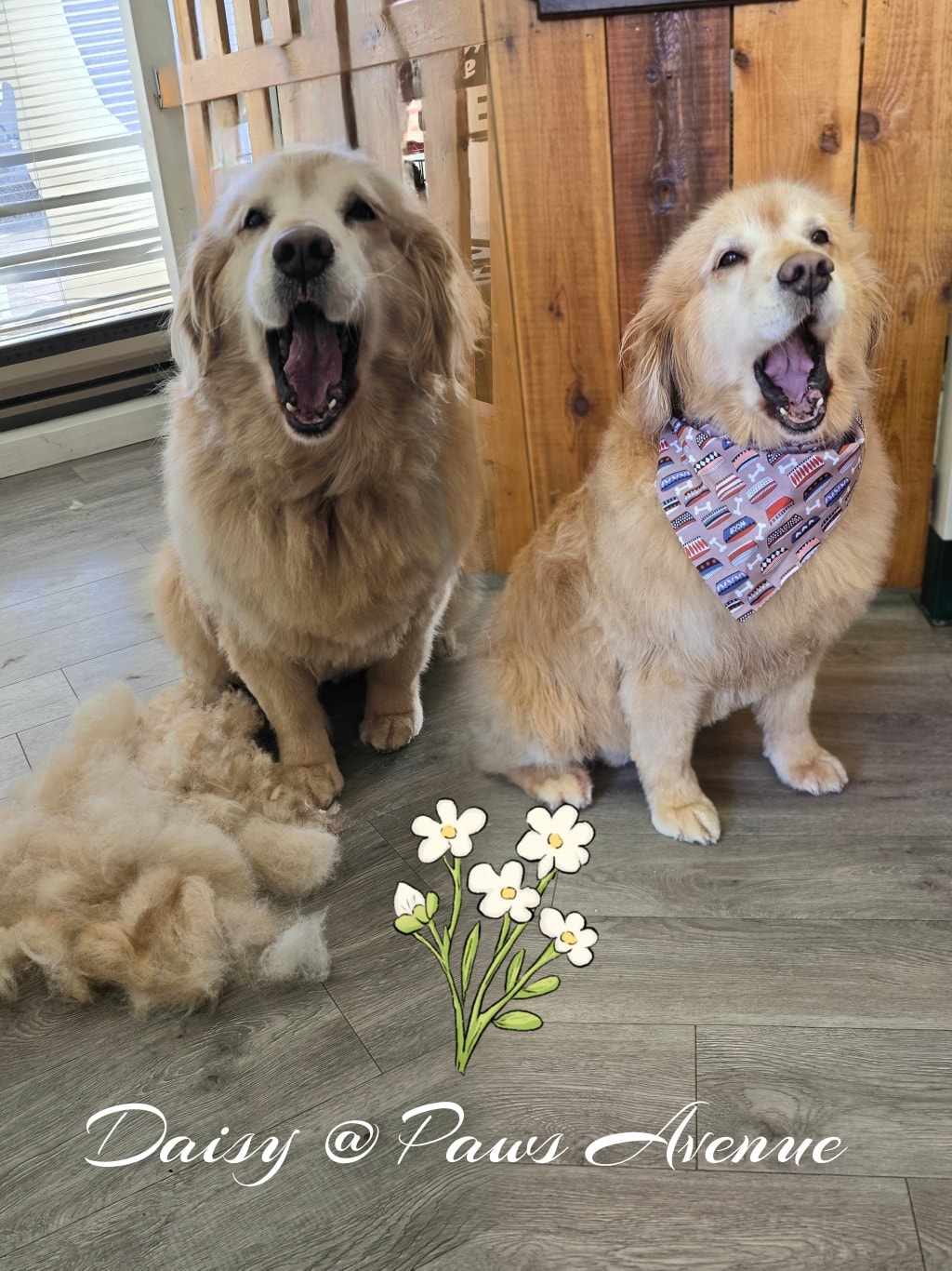 Paws Avenue Dog Grooming Spa Langley