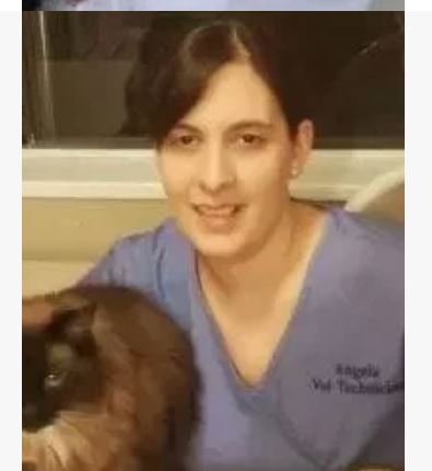 Apex Animal Hospital Langley