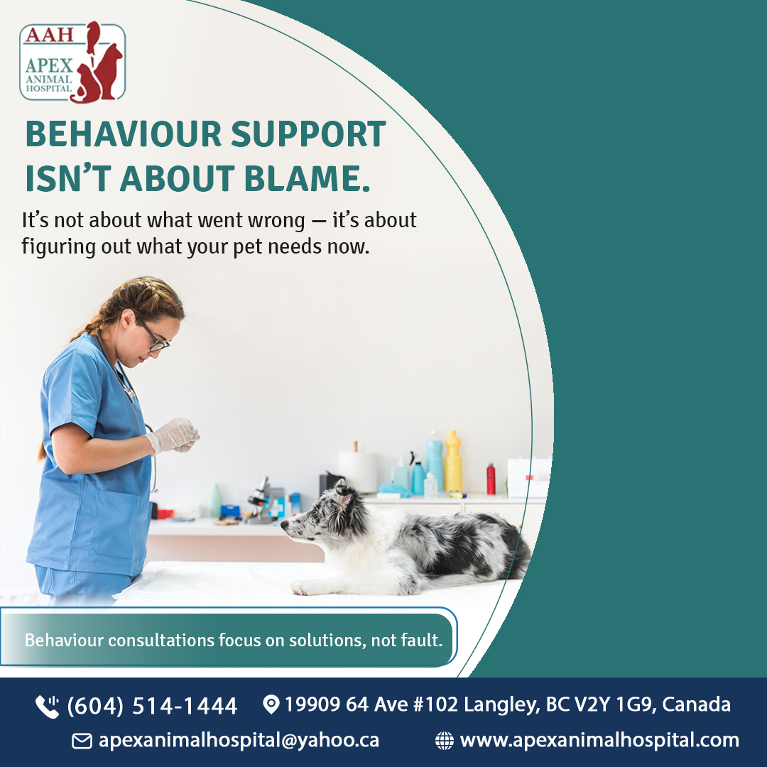 Apex Animal Hospital Langley