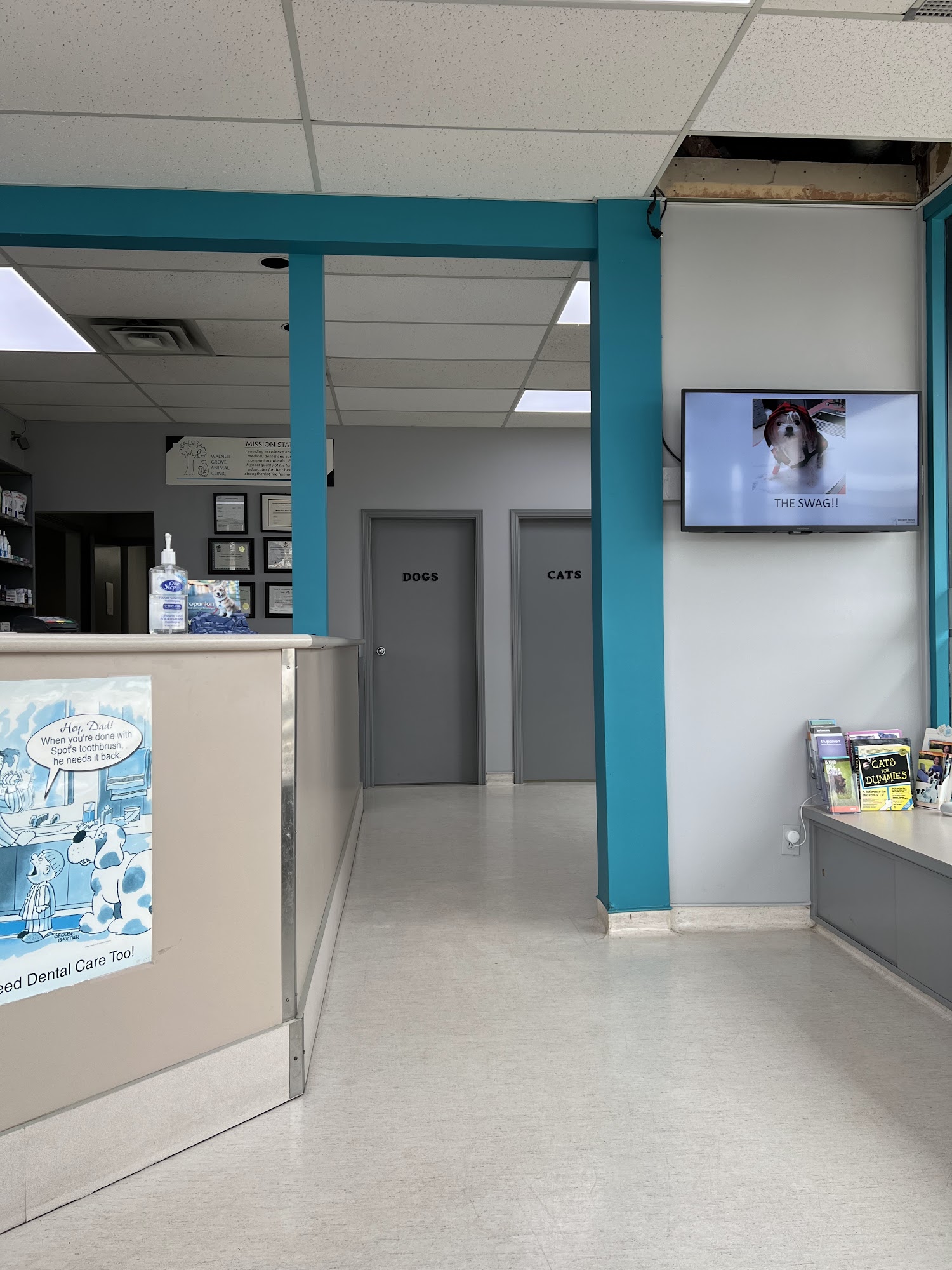 Walnut Grove Animal Hospital Langley