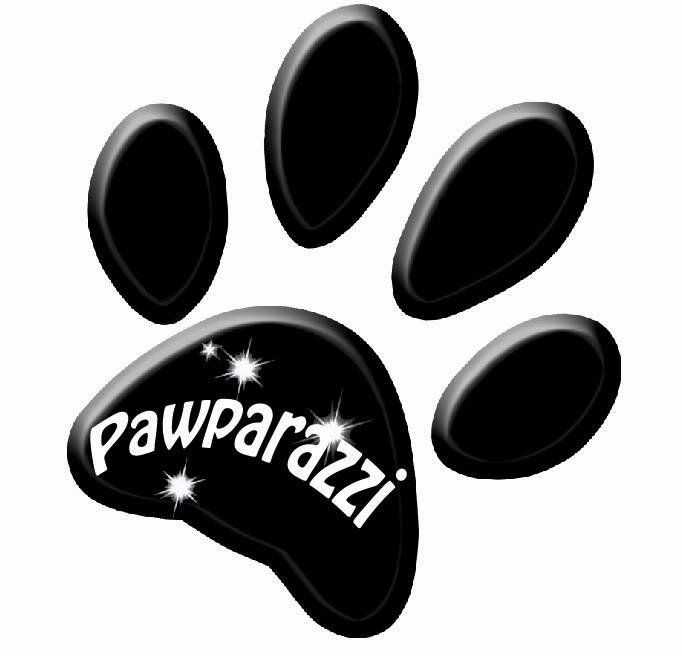 Pawparazzi Dog Grooming Maple Ridge