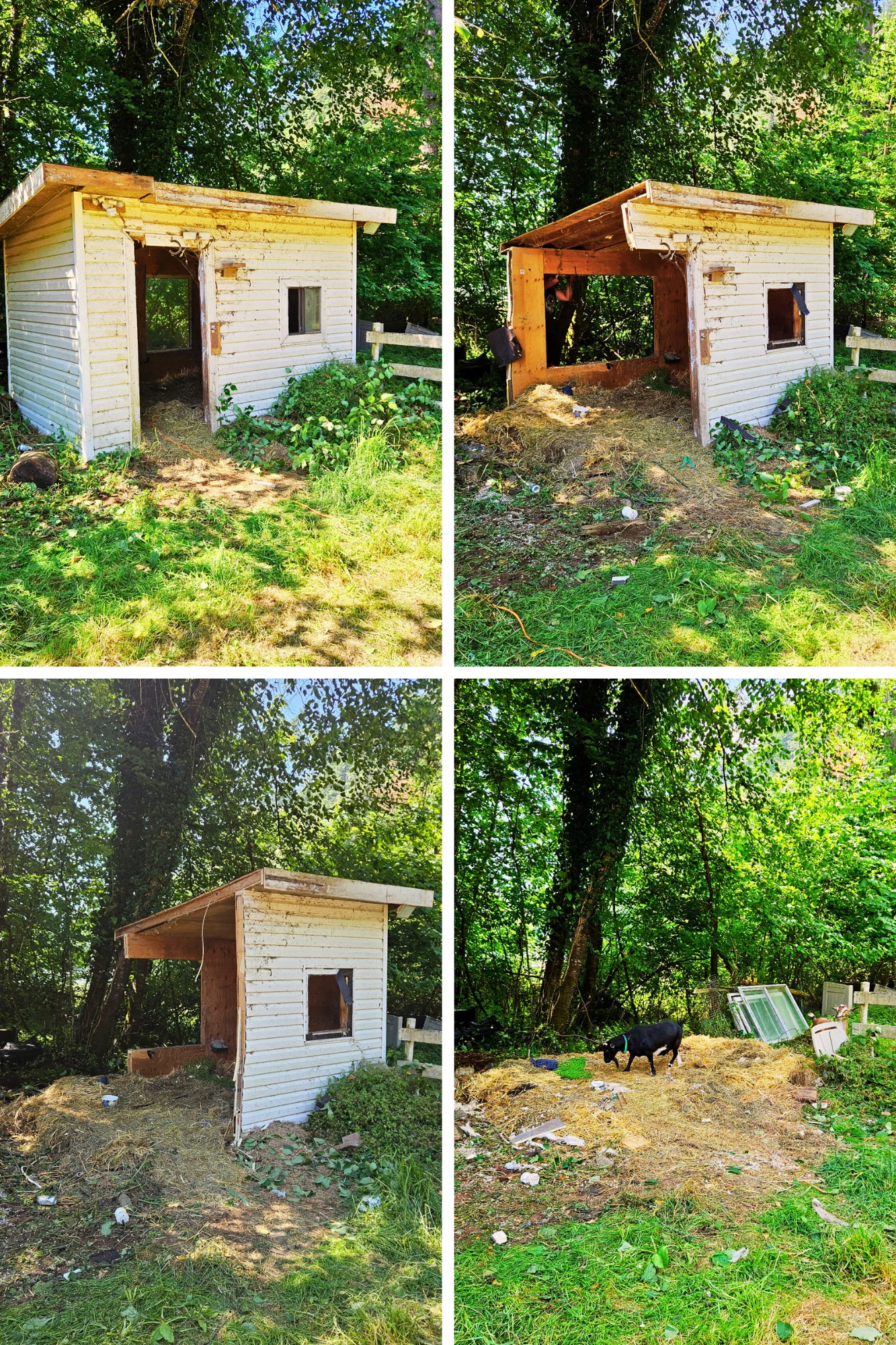 Big Phil's Rubbish Removal - Maple Ridge Junk Removal