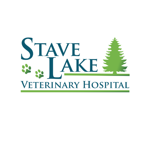 Stave Lake Veterinary Hospital Mission