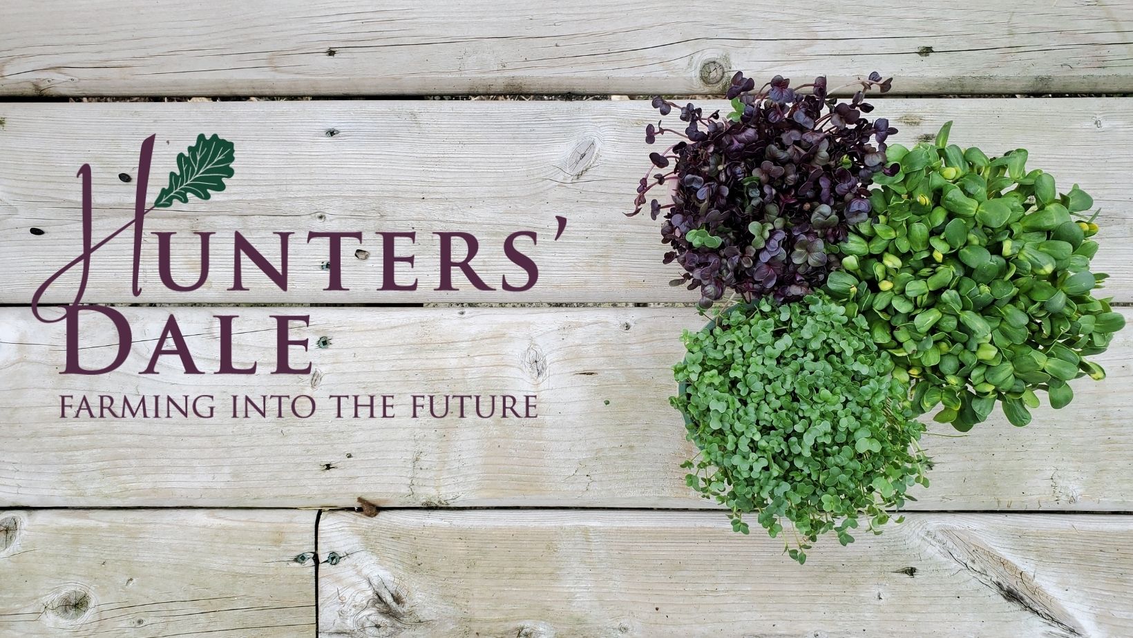 Hunters' Dale Mission