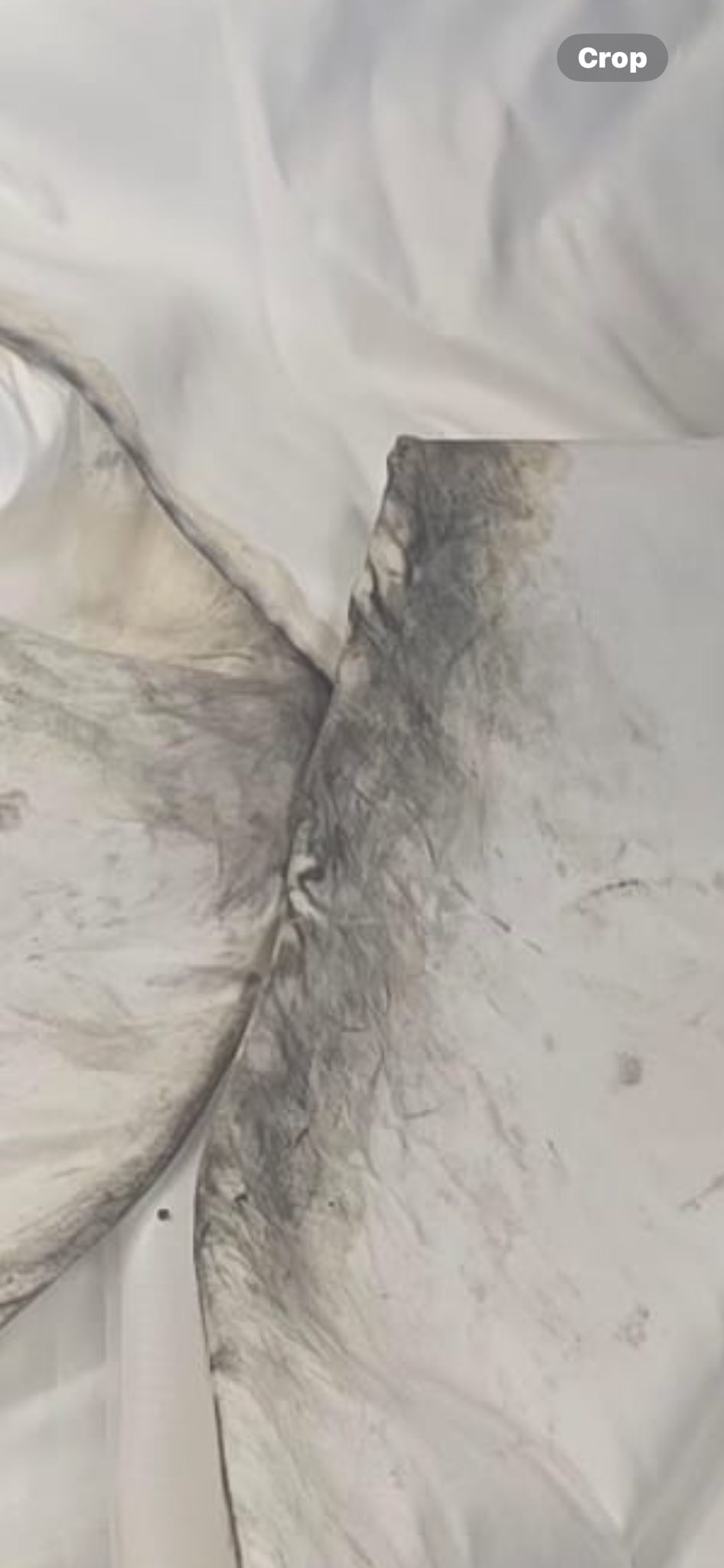 Pressed For Time Dry Cleaning