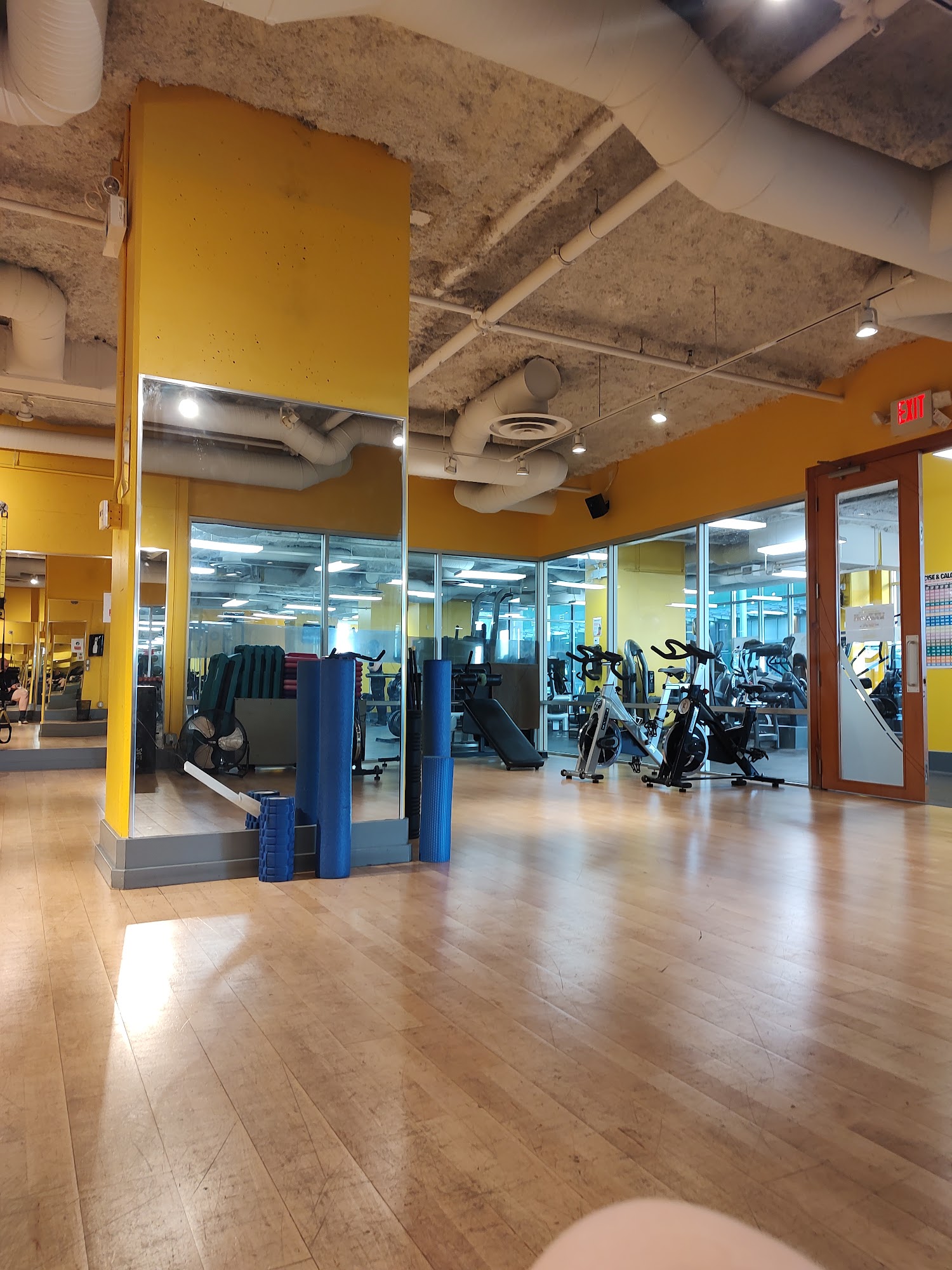 Dynamic Health and Fitness 800 Carnarvon St #335, New Westminster, BC V3M 0G3