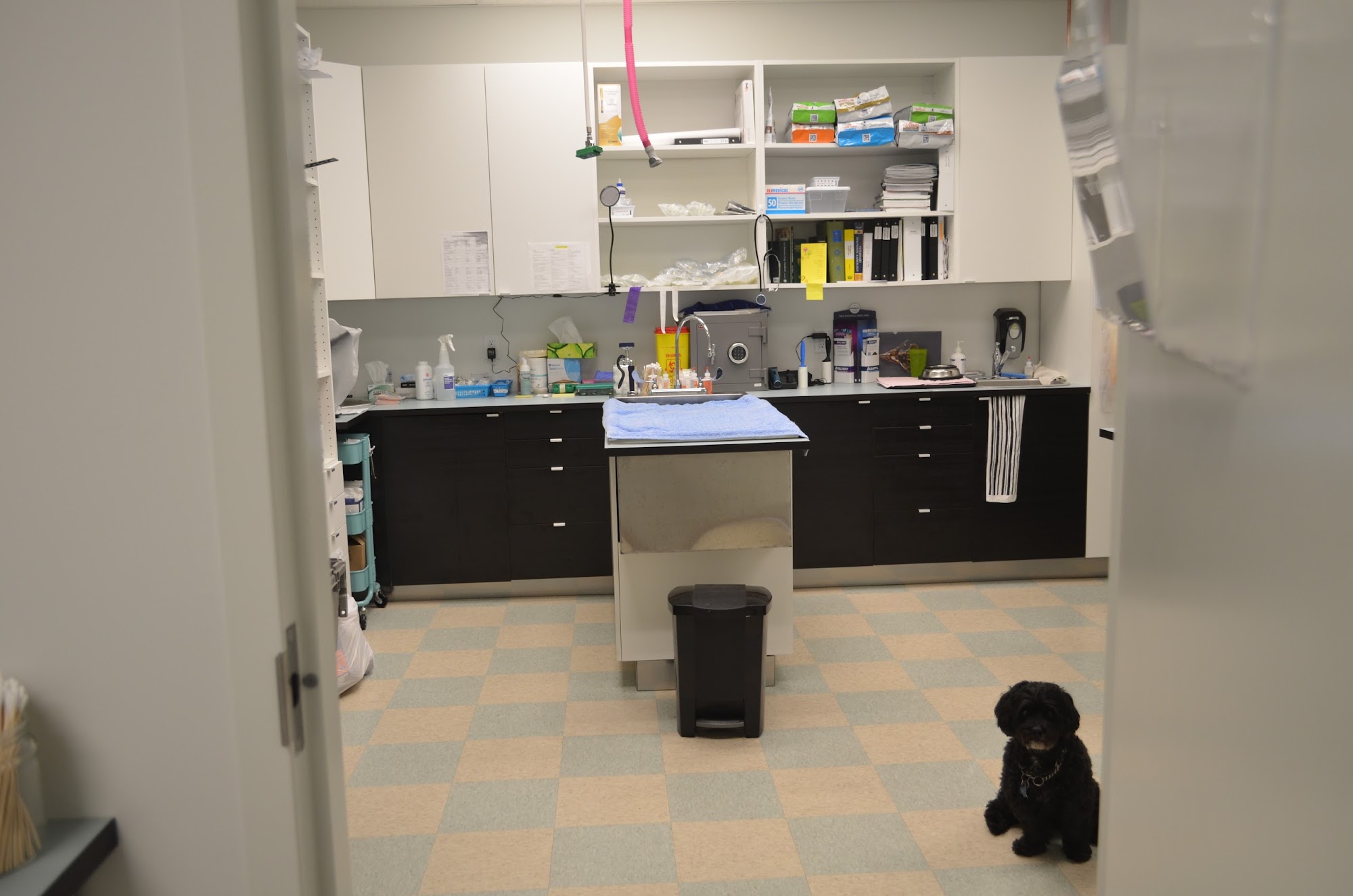 Royal City Paws Pet Centre New Westminster