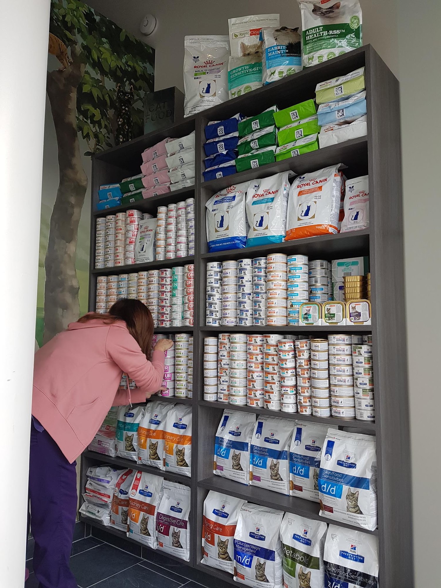 All About Cats Veterinary Clinic North Vancouver