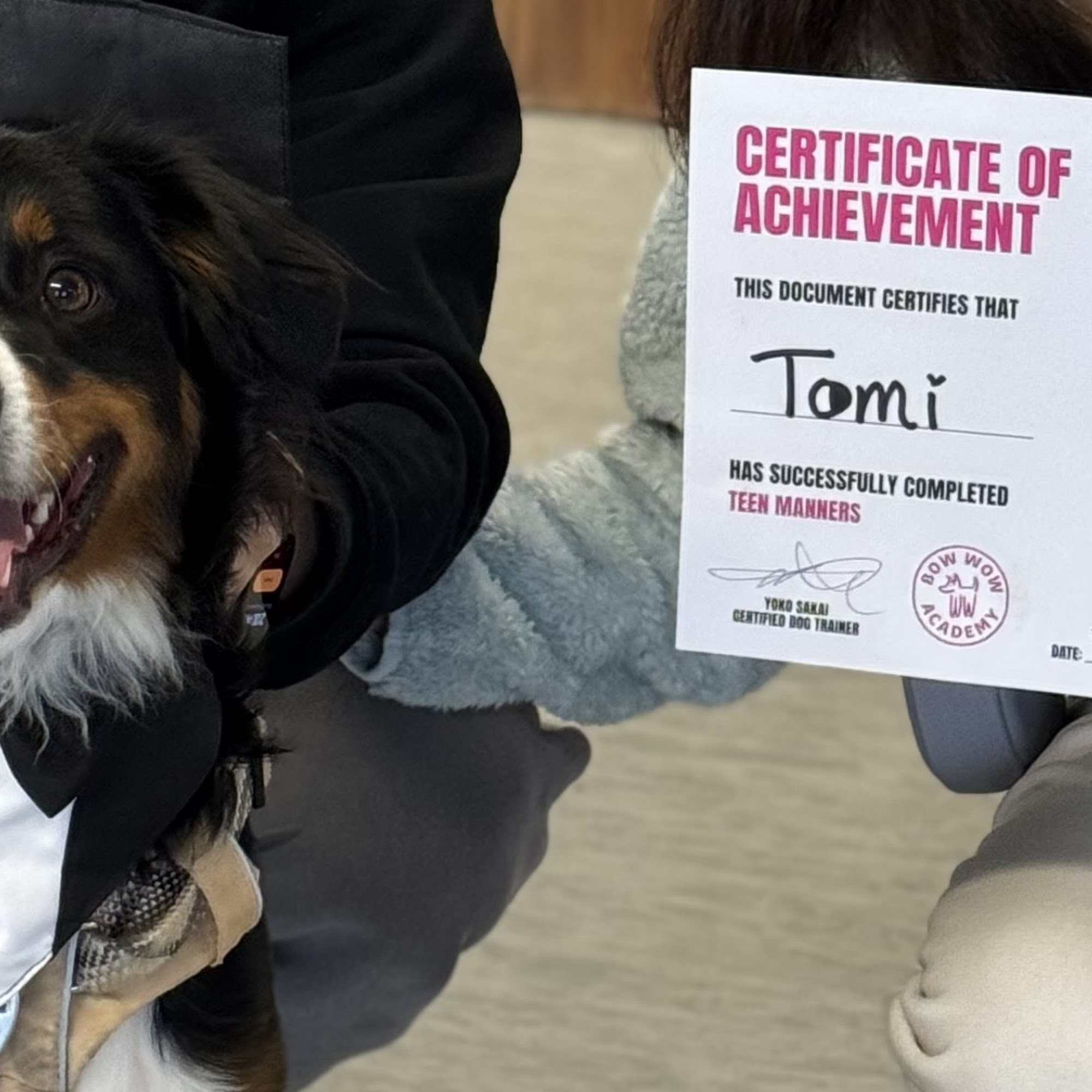 Bow Wow Academy North Vancouver