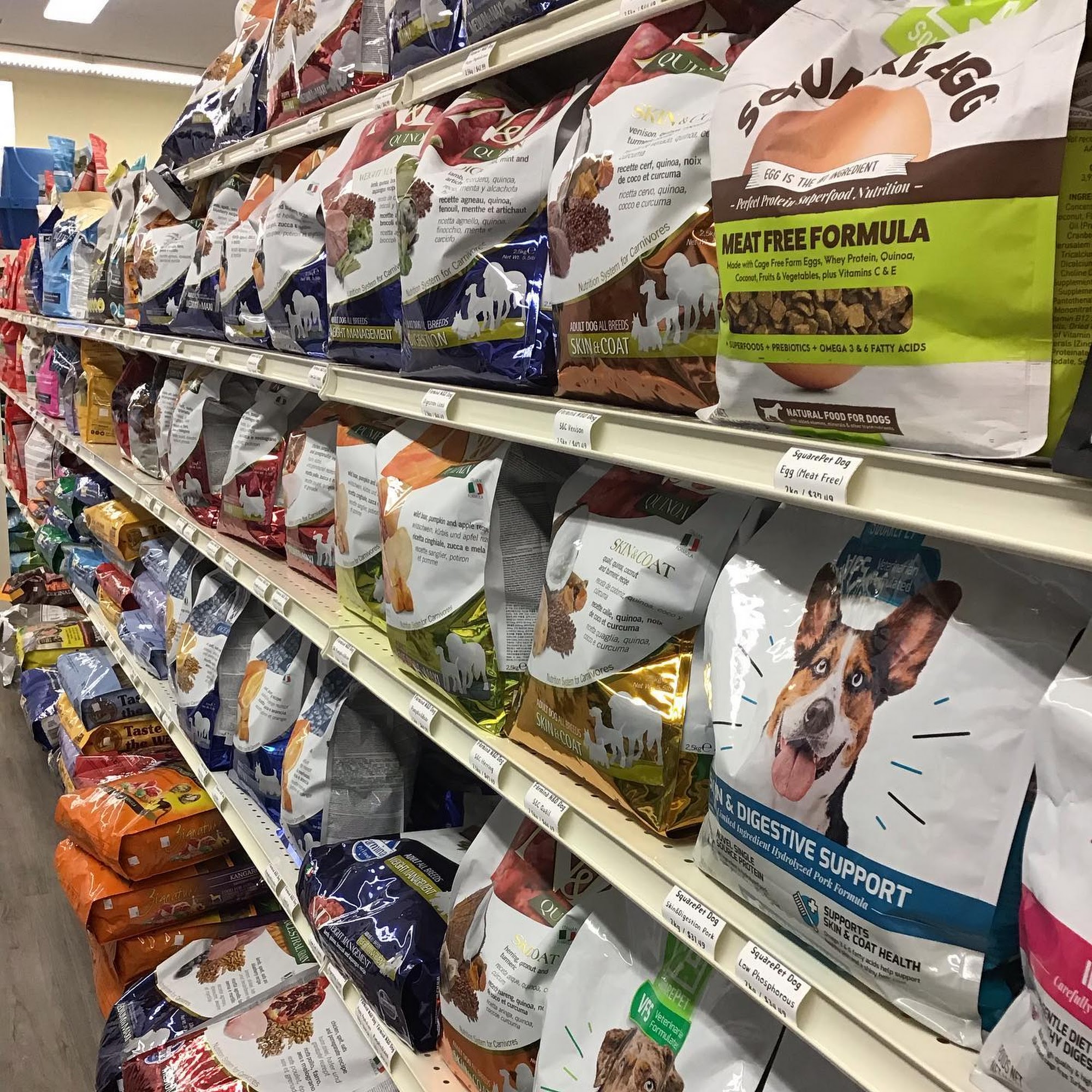 Van Pet Lynn Valley North Vancouver