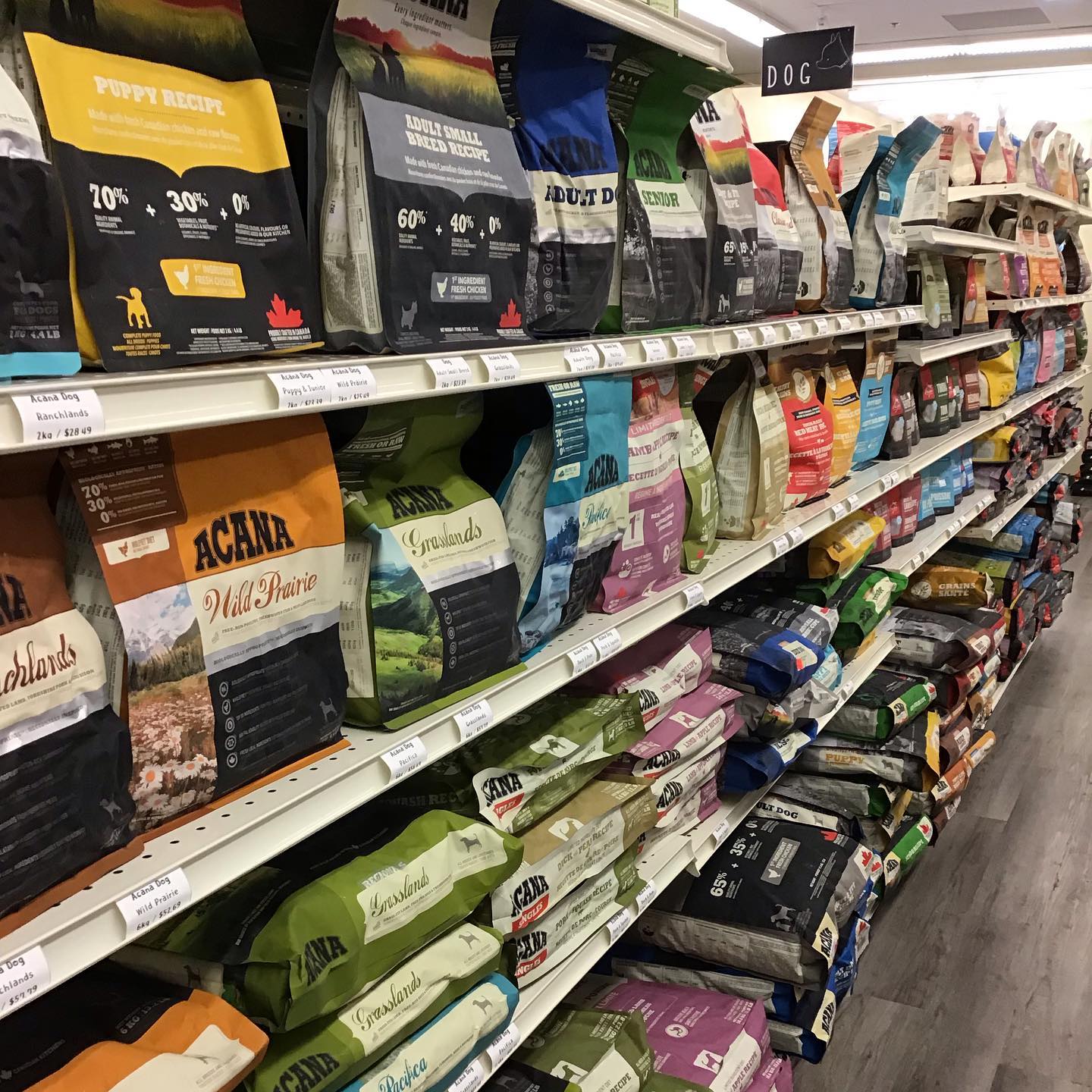 Van Pet Lynn Valley North Vancouver