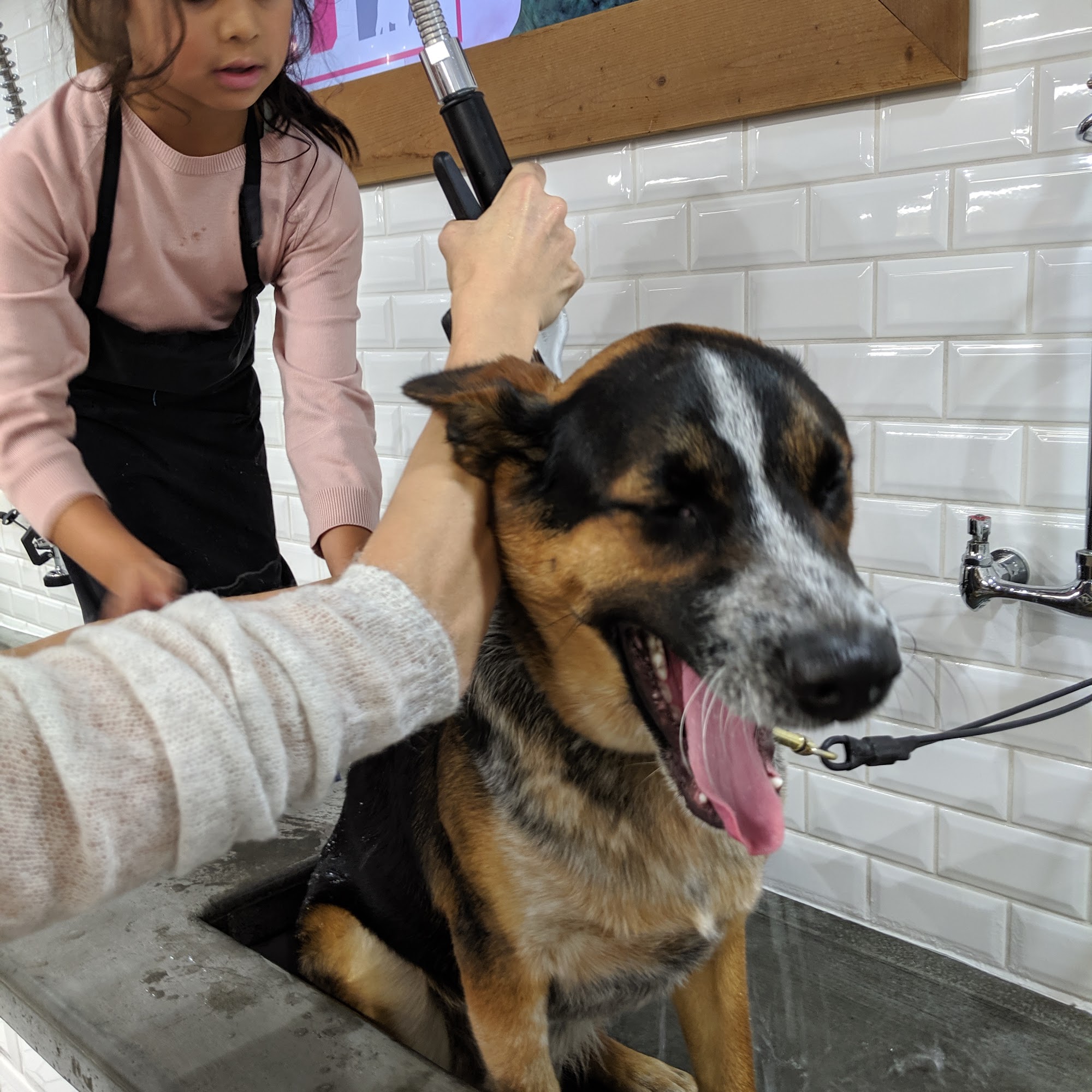 Paw Street Market North Vancouver