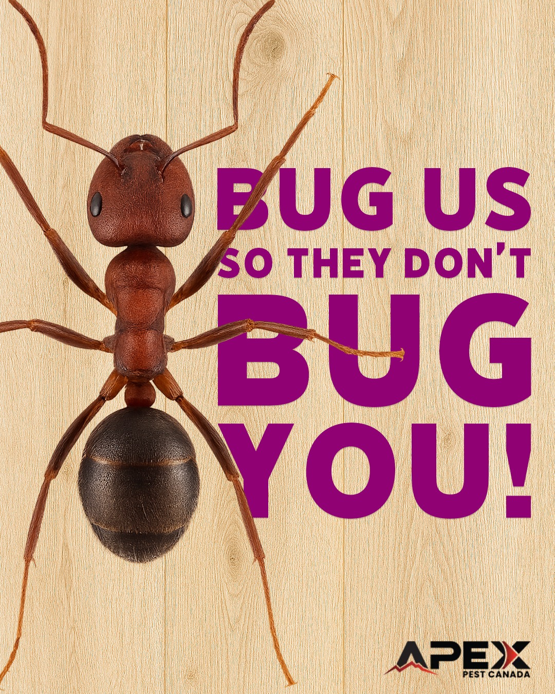 Apex Pest Control Ltd.