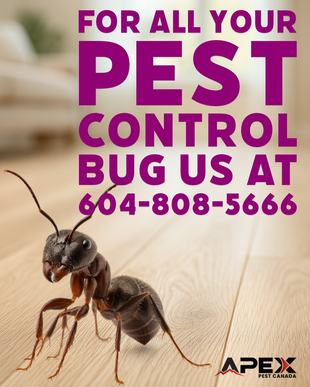 Apex Pest Control Ltd.