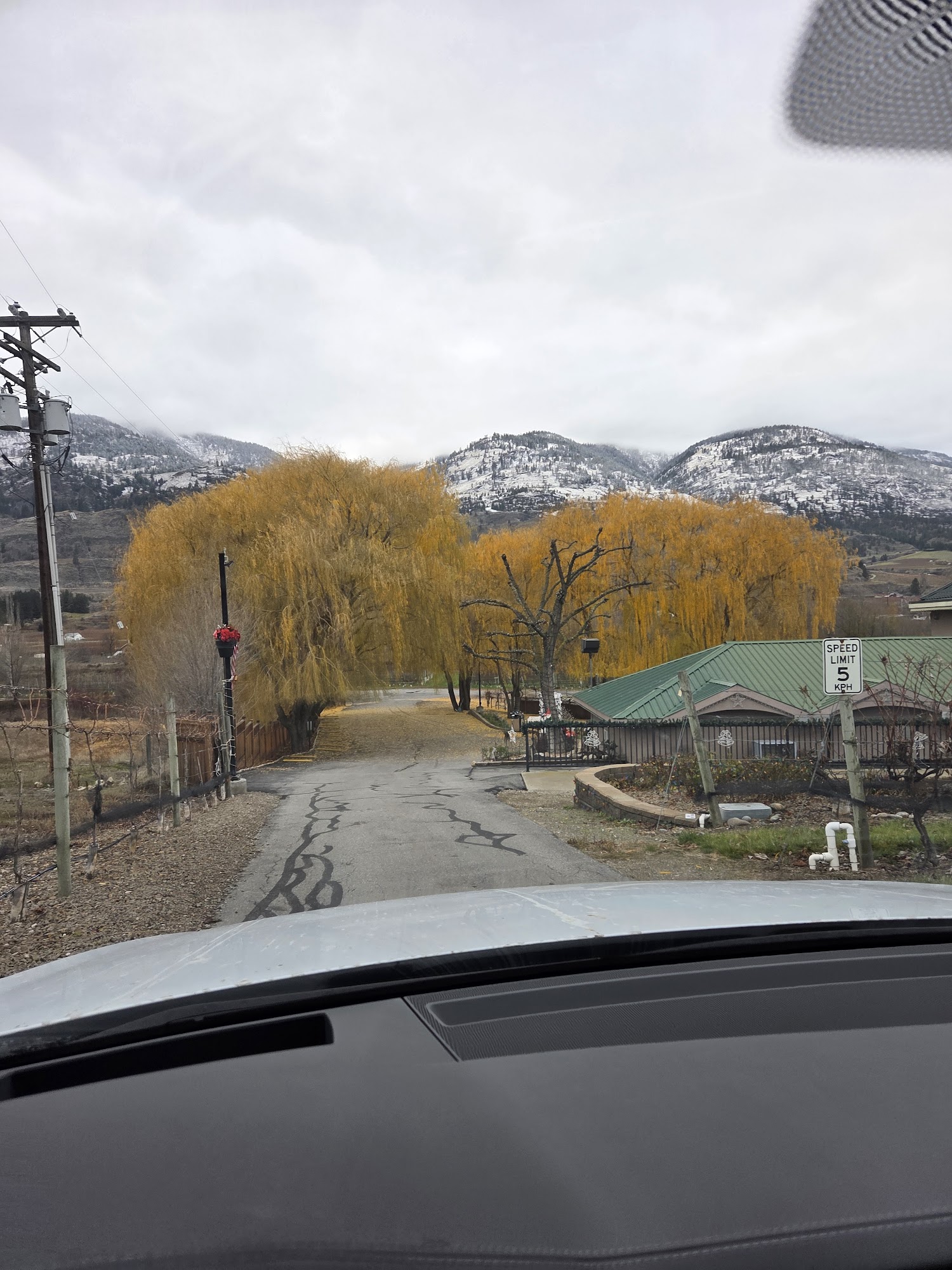 Silver Sage Winery Menu