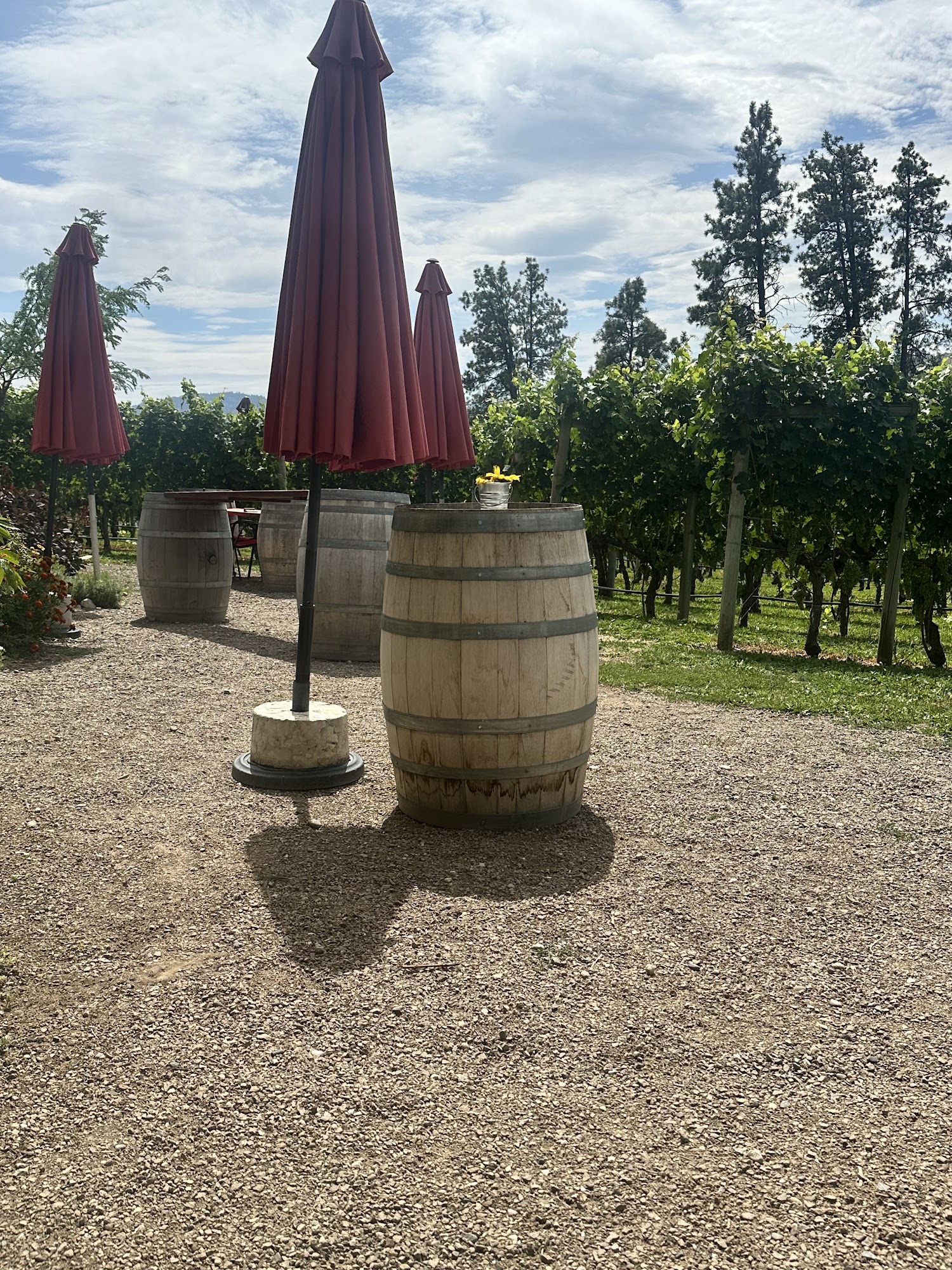 River Stone Estate Winery Menu