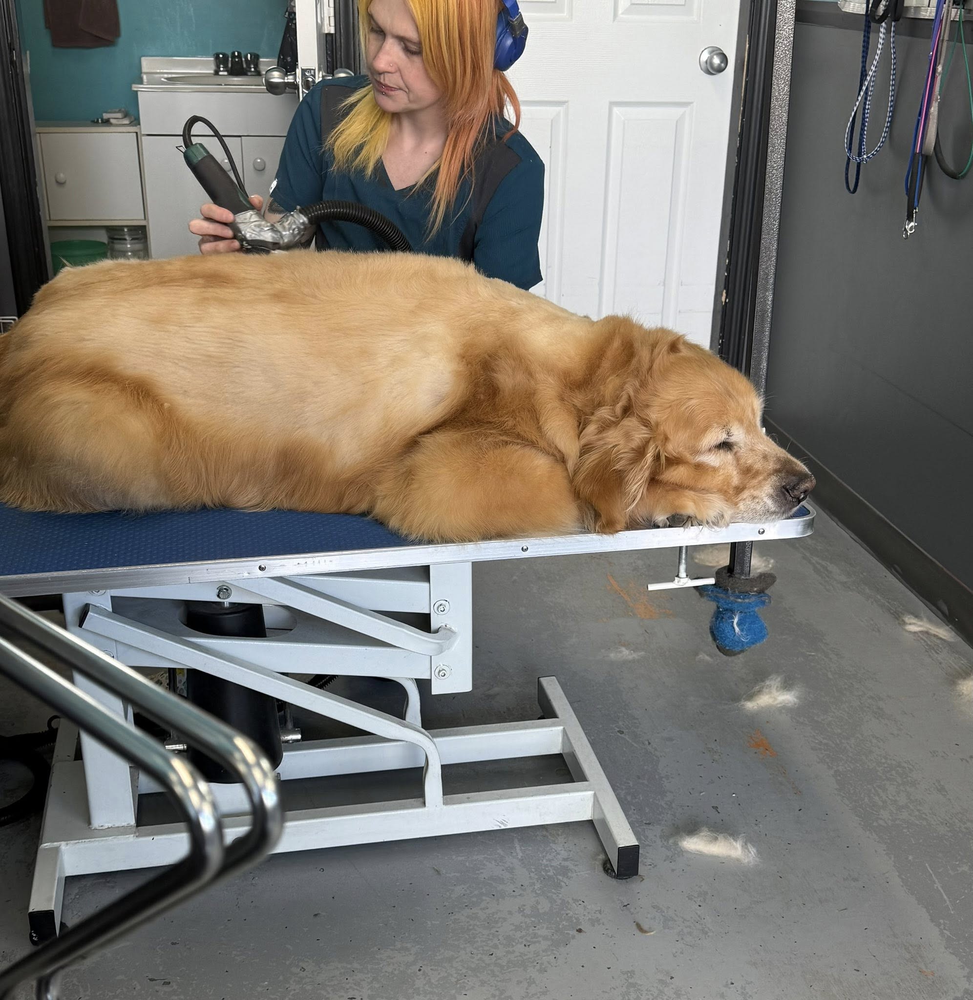 Pawlished Pet Grooming Penticton