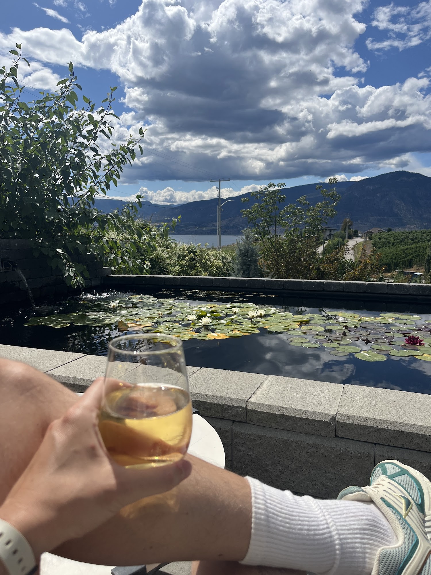 La Petite Abeille Cider Menu