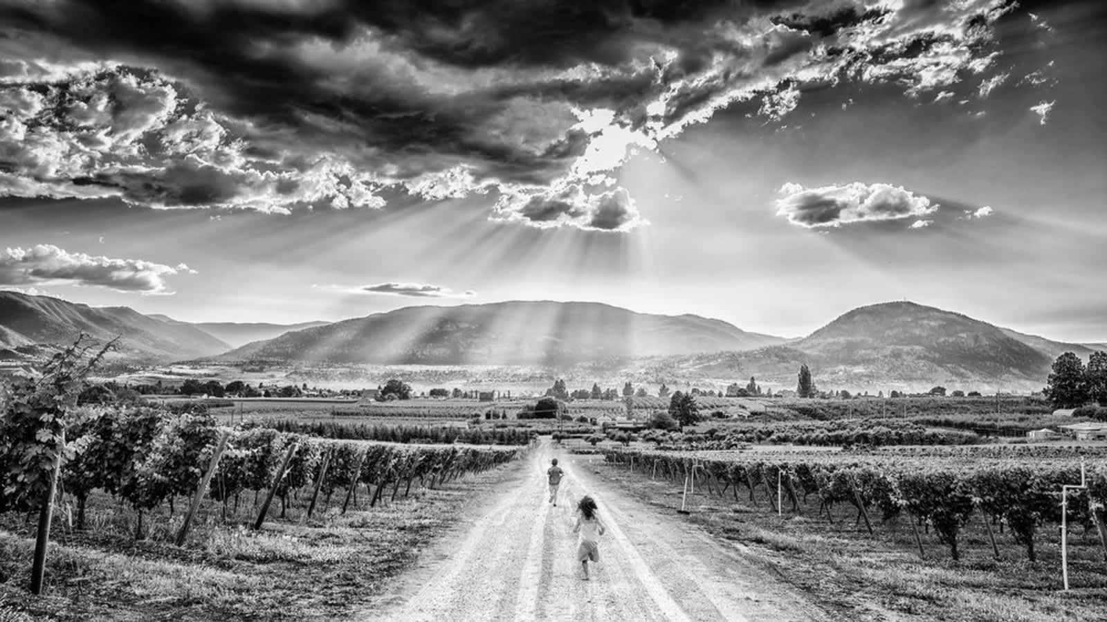 Photo credit: yellowpages.ca