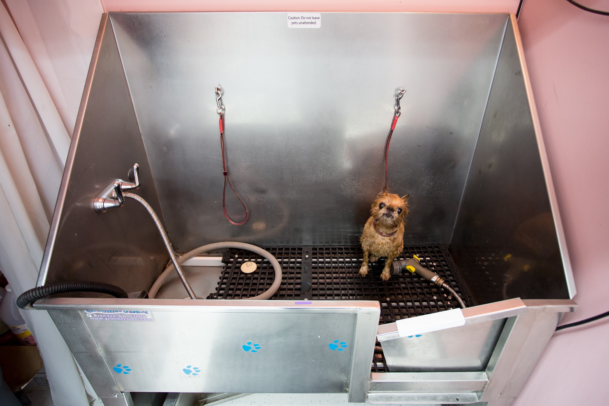 Posh Pooch Doggy Daycare & Spa Pitt Meadows