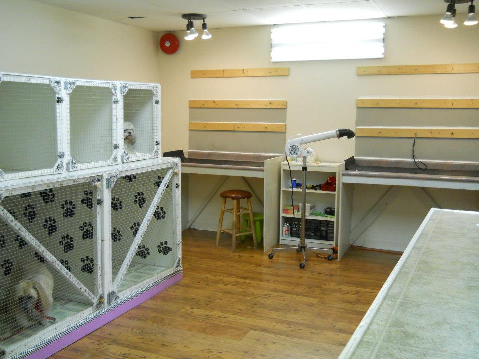 Sudsy Dog Grooming Salon Pitt Meadows