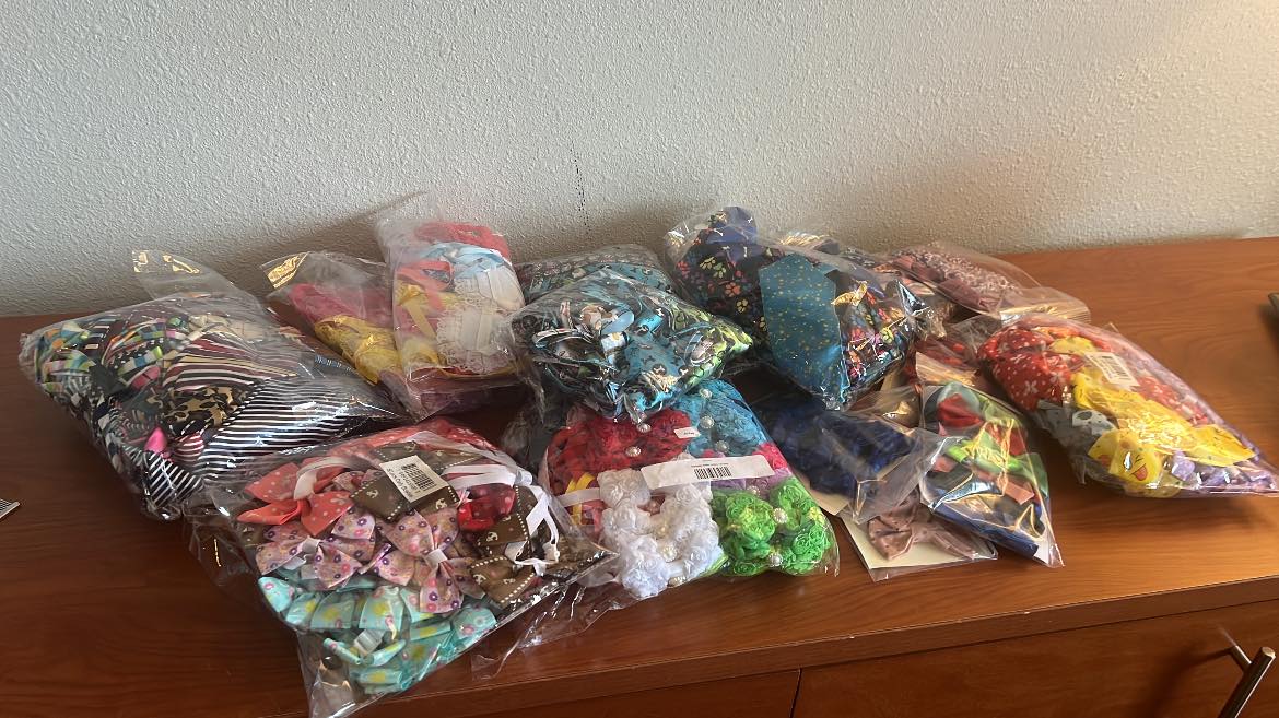 Poco Pet Pawlour Port Coquitlam