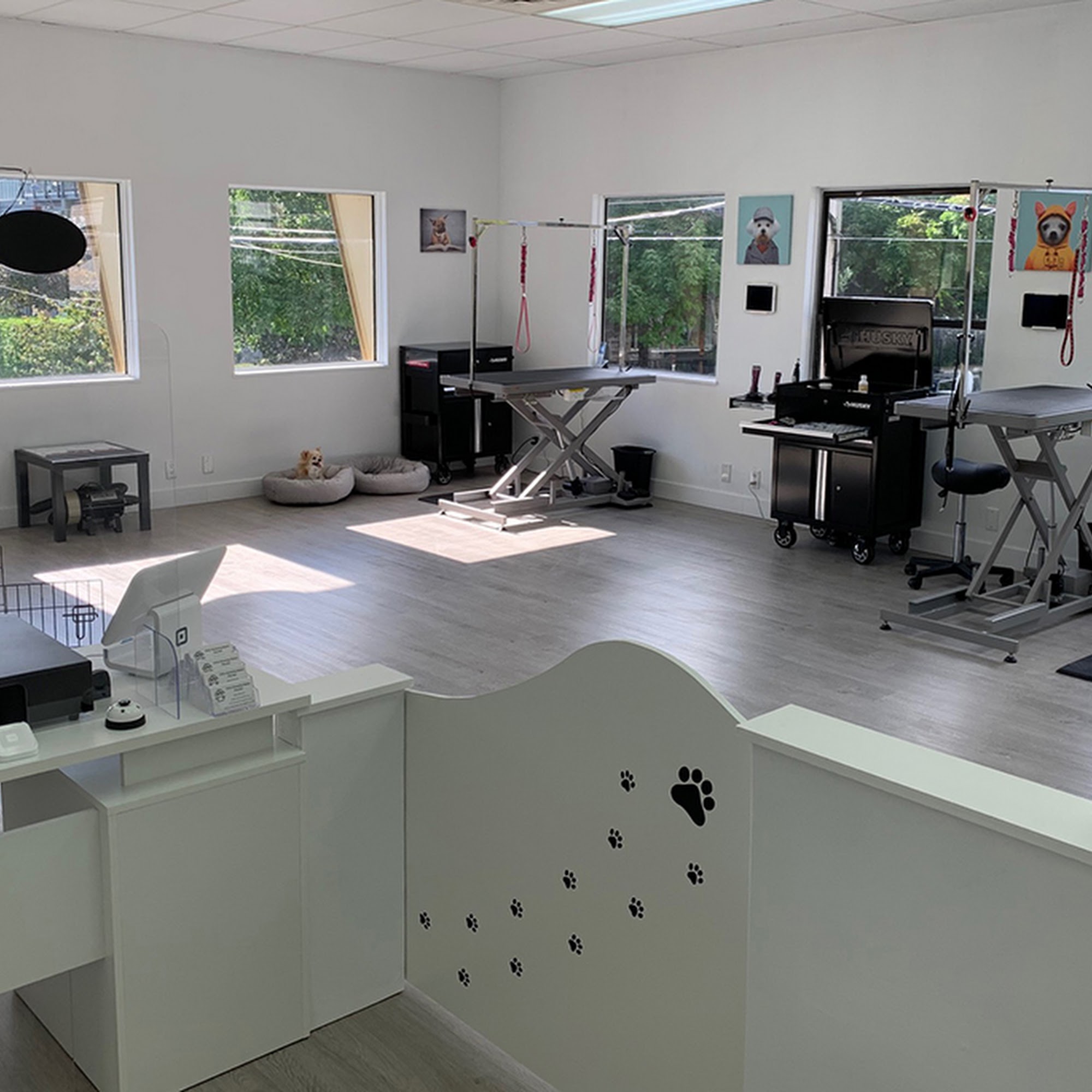 PoCo Grooming Station Port Coquitlam