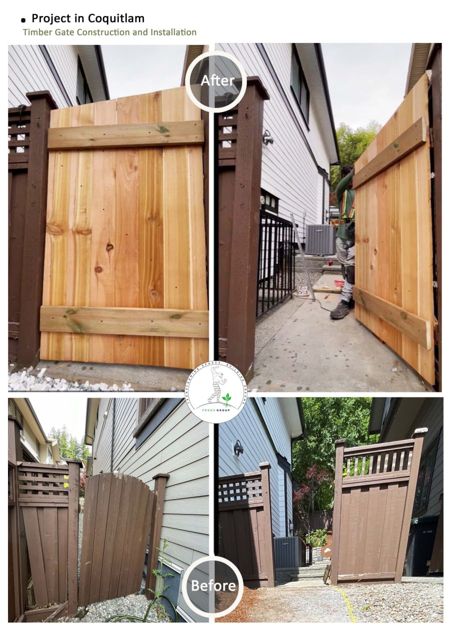 Frogs Group 2110 Rowland St, Port Coquitlam British Columbia V3C 0C2