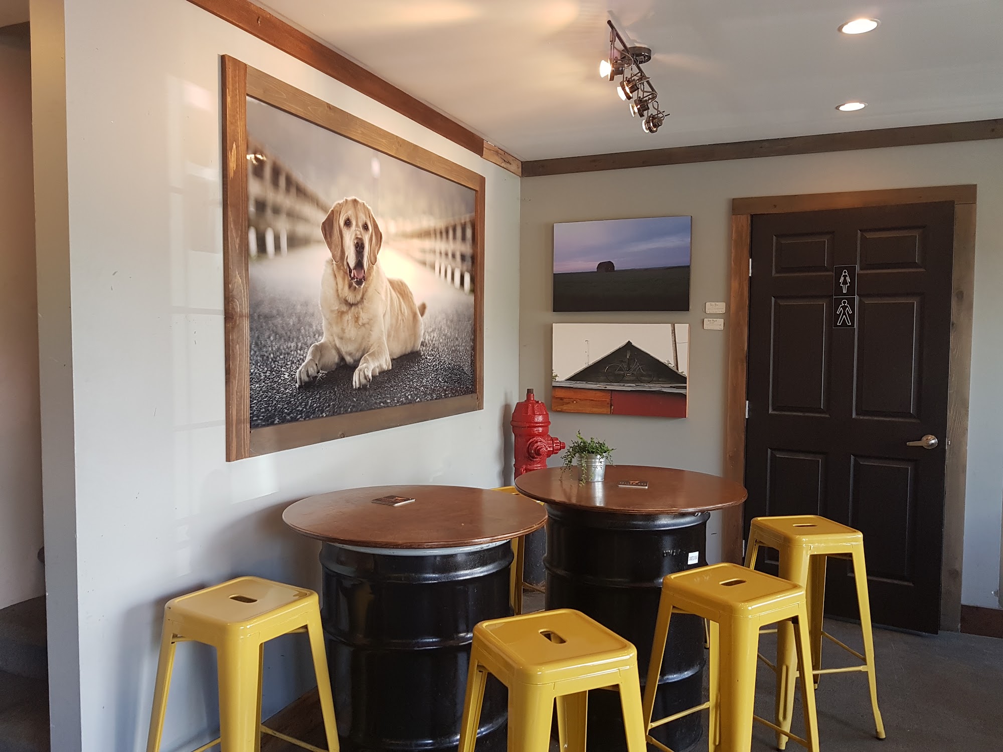 Yellow Dog Brewing Co. Port Moody