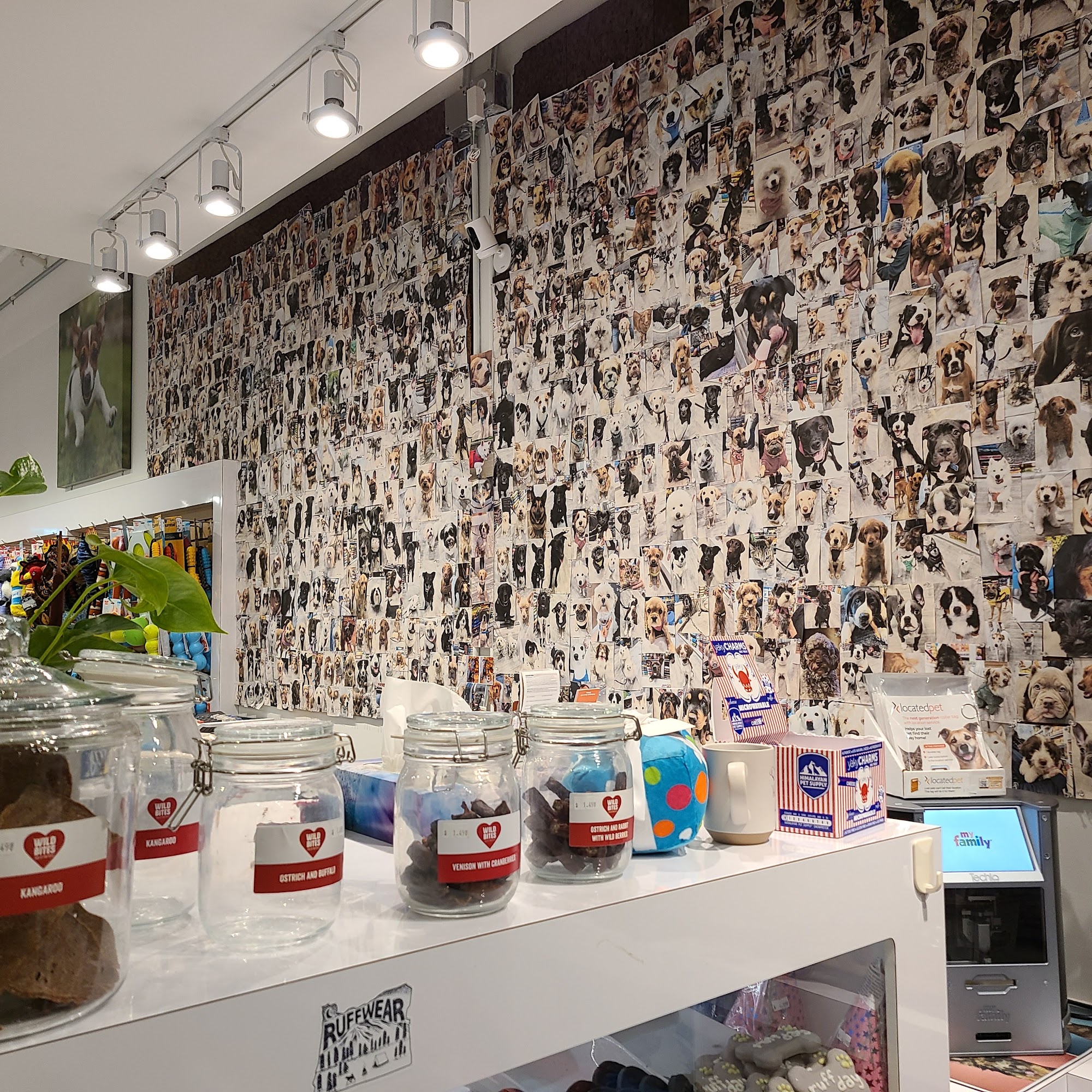 Bone & Biscuit Newport Village Port Moody