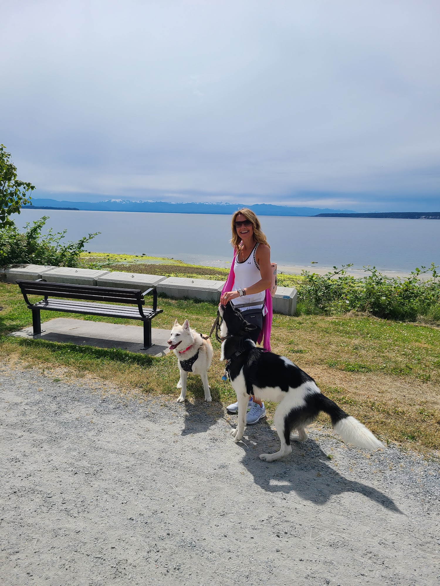 Pet Valu Powell River