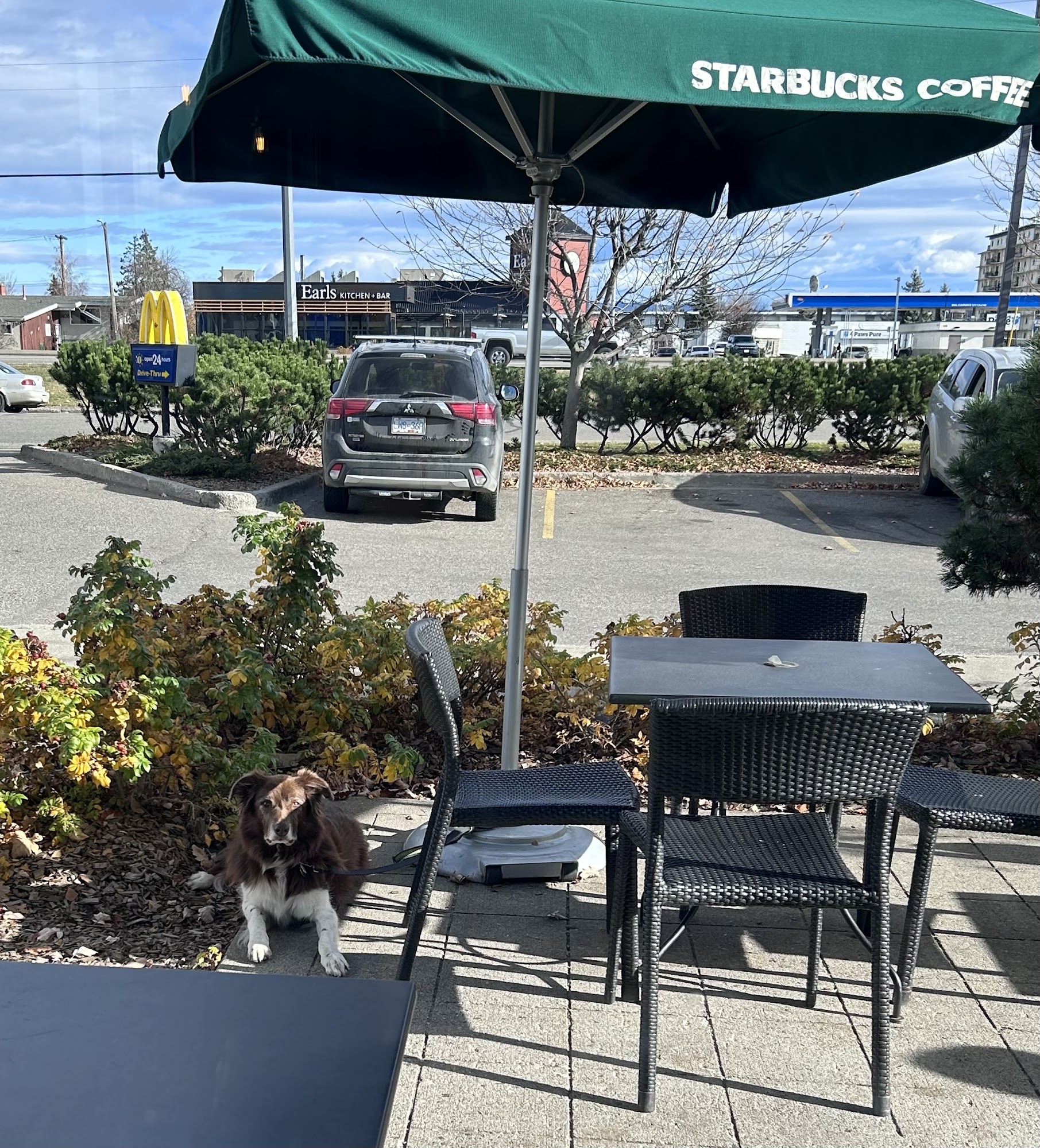 Starbucks