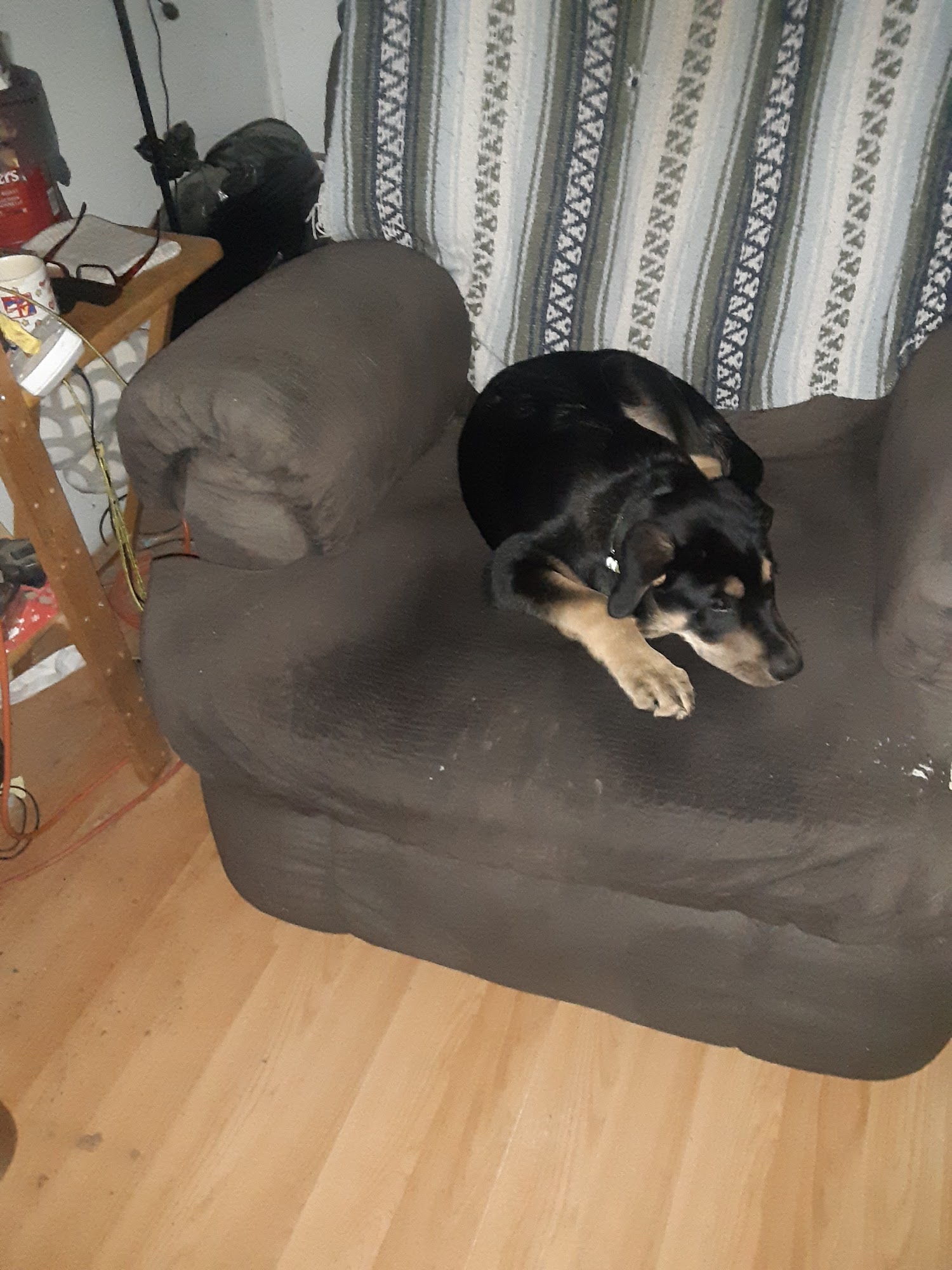 Birchwood Veterinary Clinic Prince George