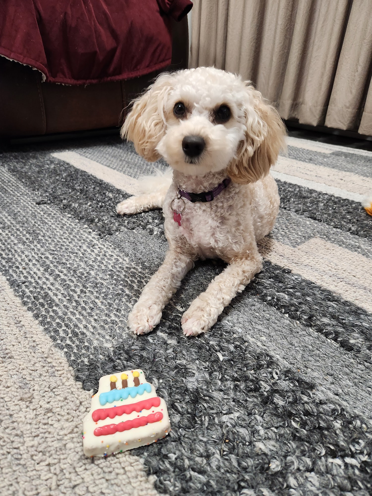 The Fur Tree Prince George